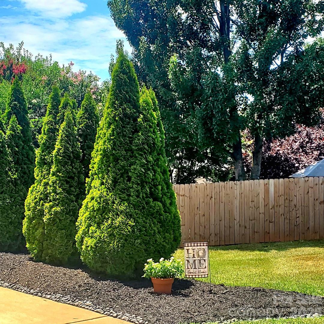 20452 Greenway Heights Drive — Cornelius