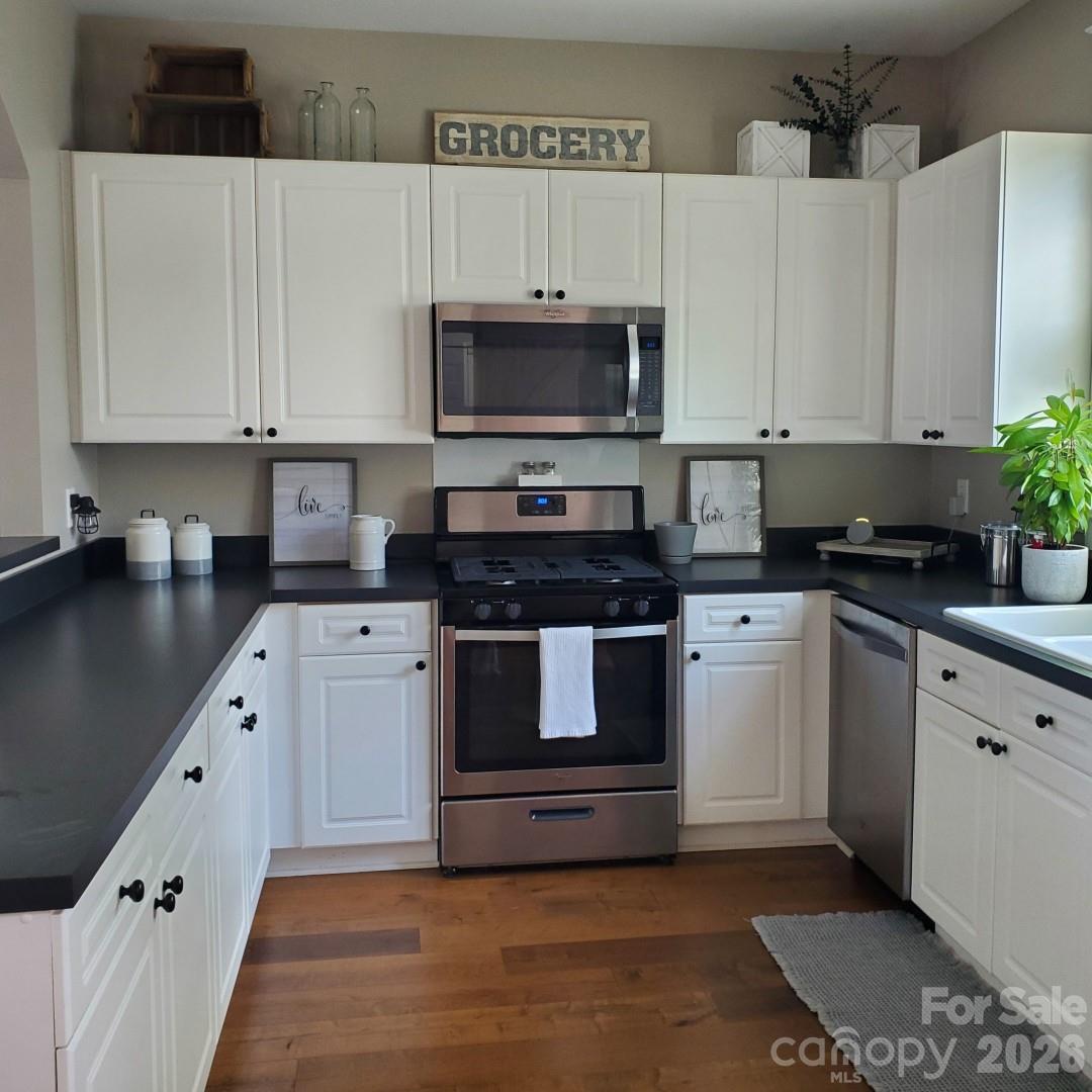 20452 Greenway Heights Drive — Cornelius