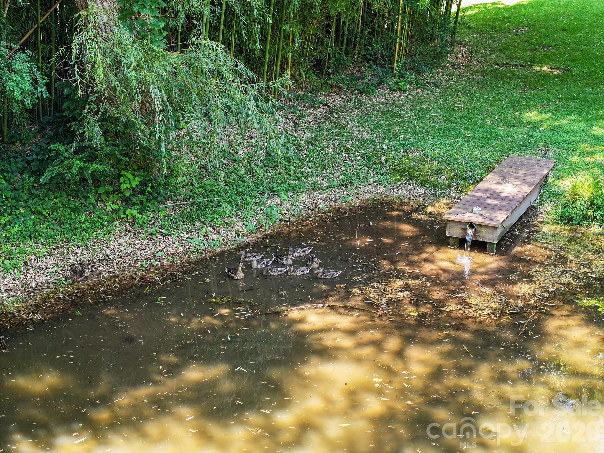 36 Meadows Lane — Maggie Valley