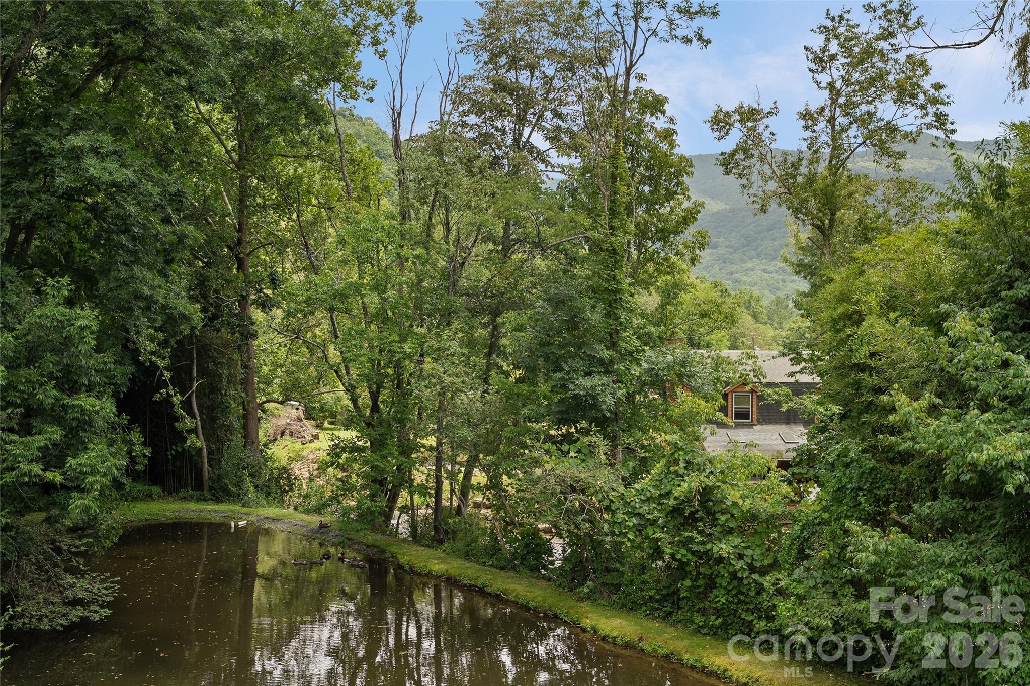 36 Meadows Lane — Maggie Valley
