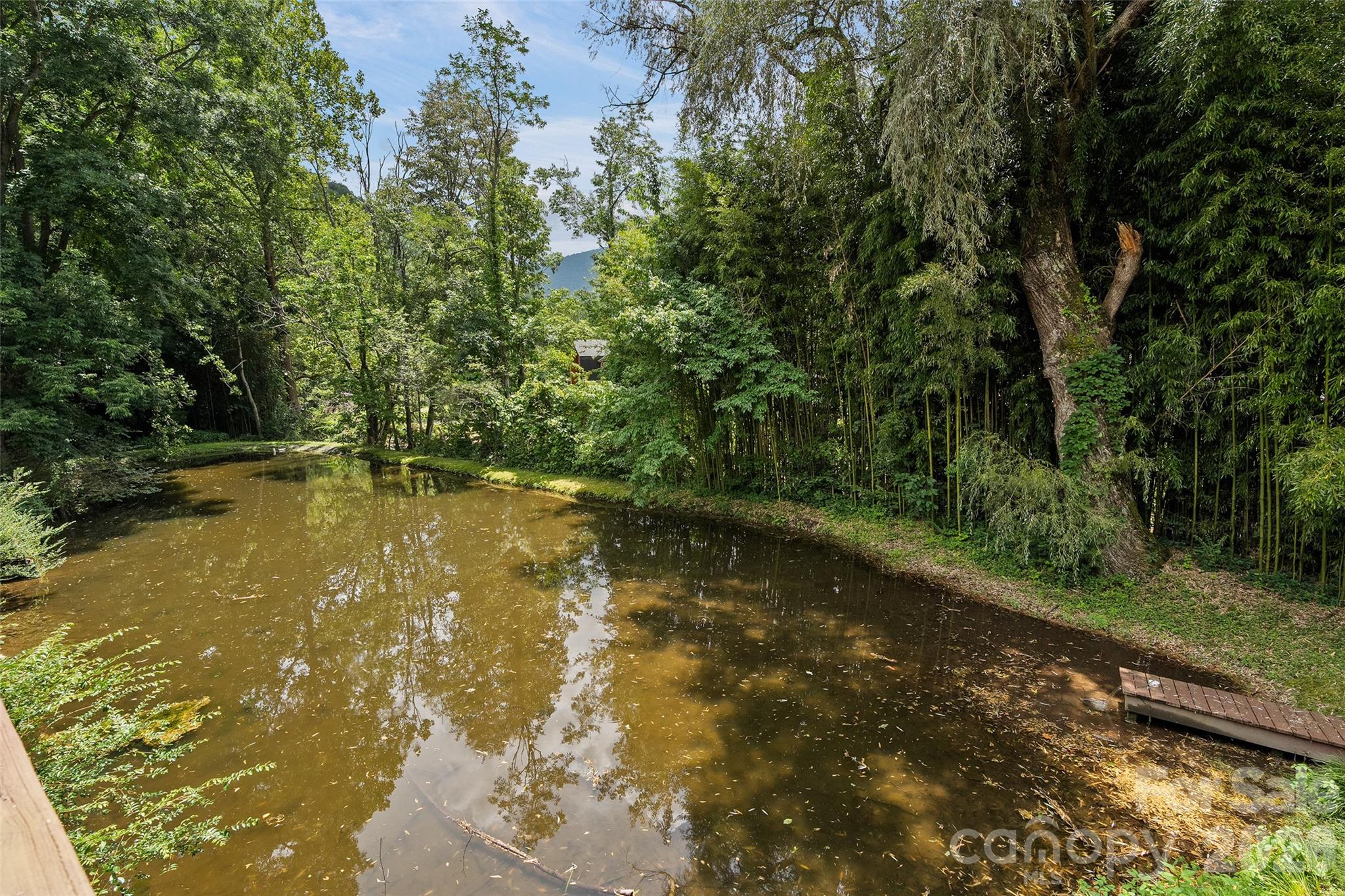36 Meadows Lane — Maggie Valley
