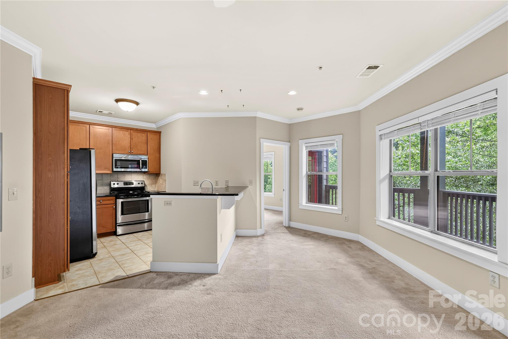 9 Kenilworth Knolls #303 — Asheville