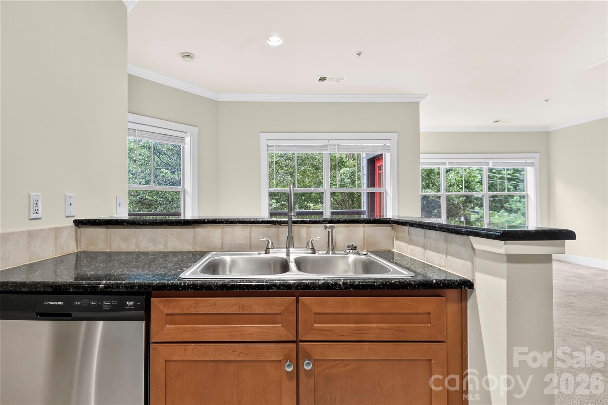 9 Kenilworth Knolls #303 — Asheville