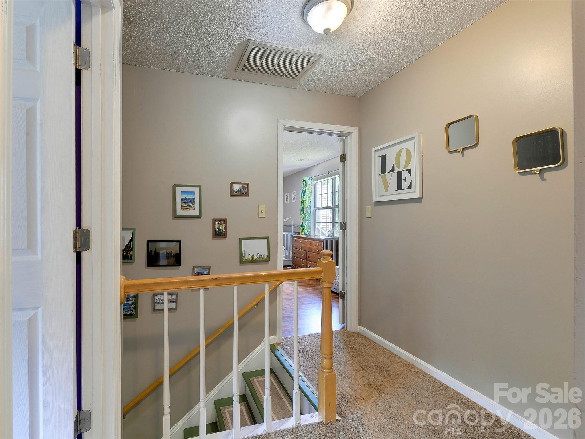 3102 Scotch Moss Court — Charlotte