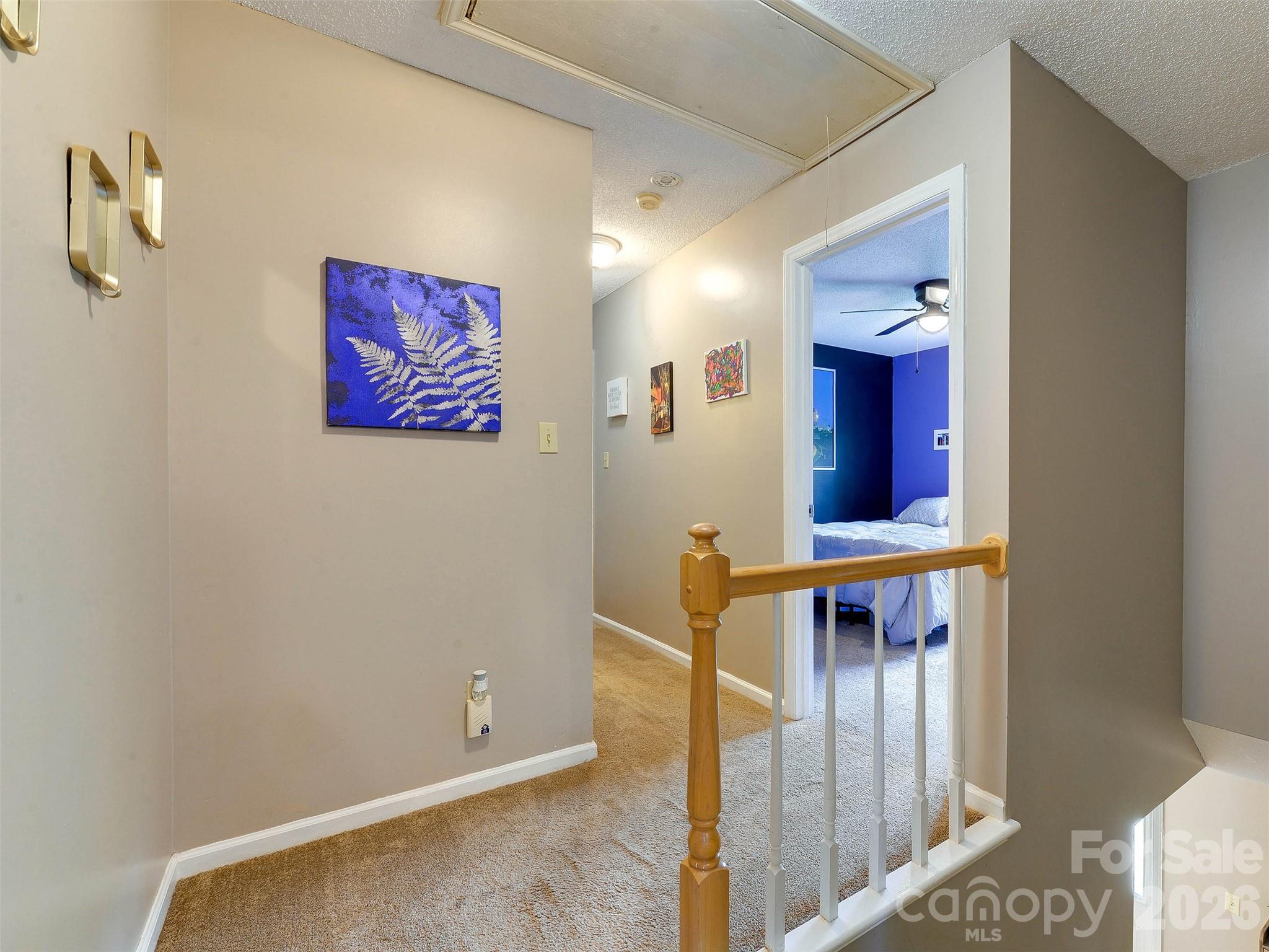 3102 Scotch Moss Court — Charlotte