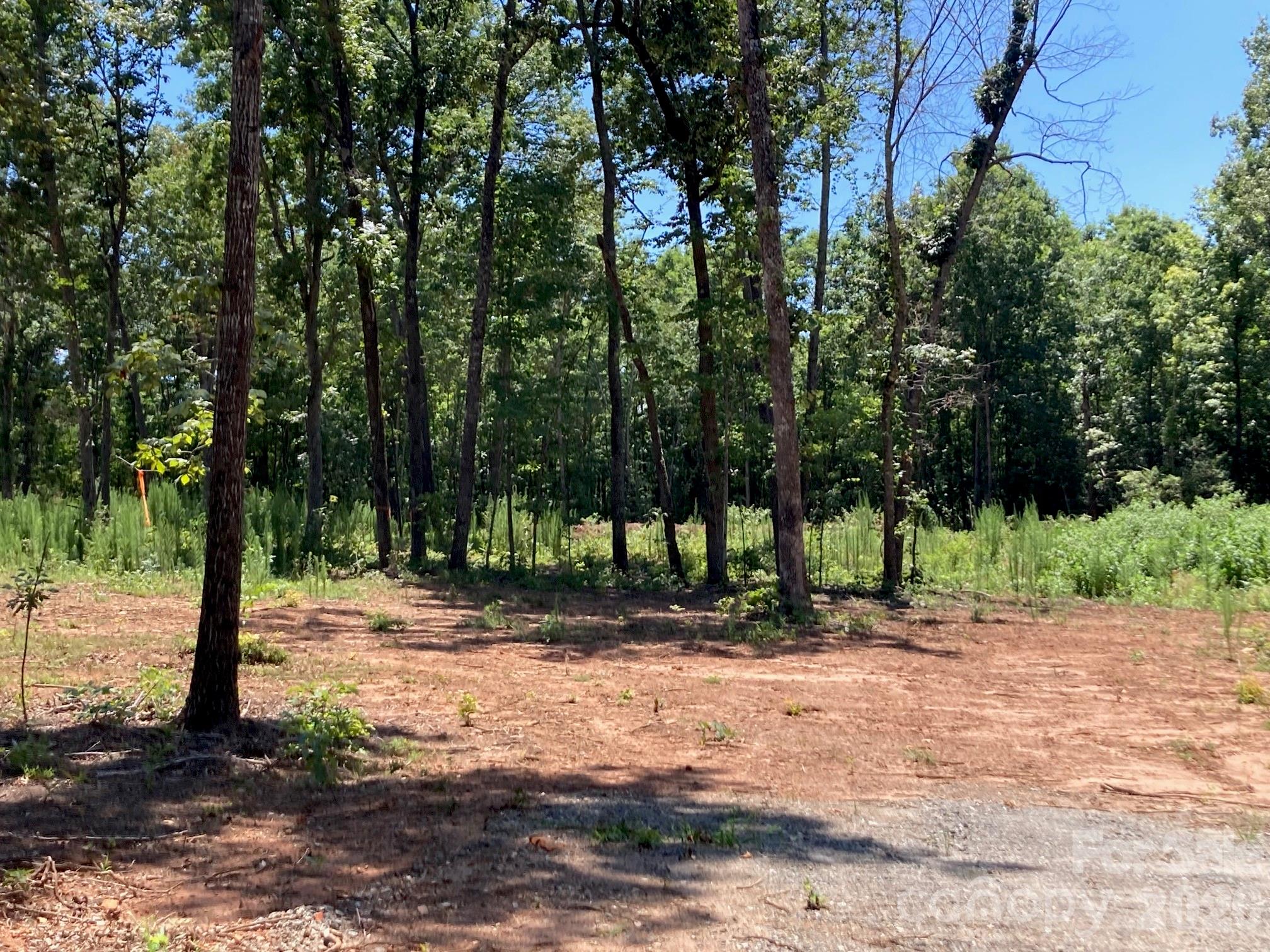 159 Evenfall Lane #1, 2 (~4 Acres) — Columbus