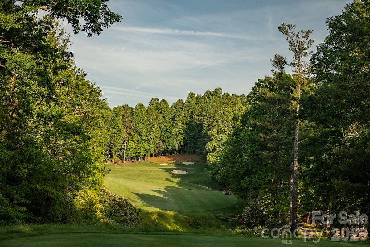 160 Chattooga Run — Hendersonville