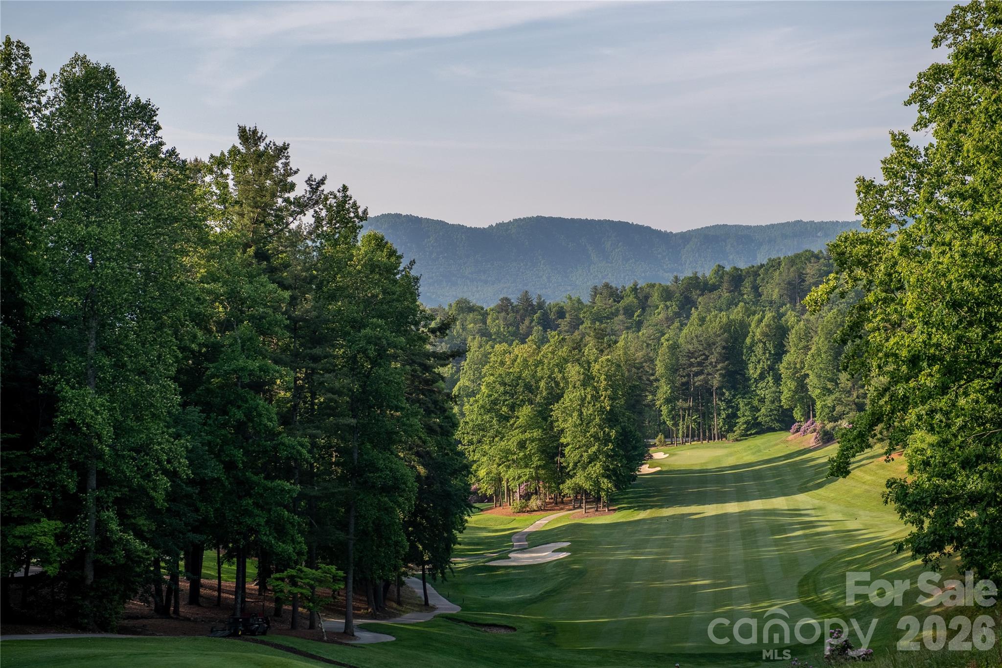 160 Chattooga Run — Hendersonville