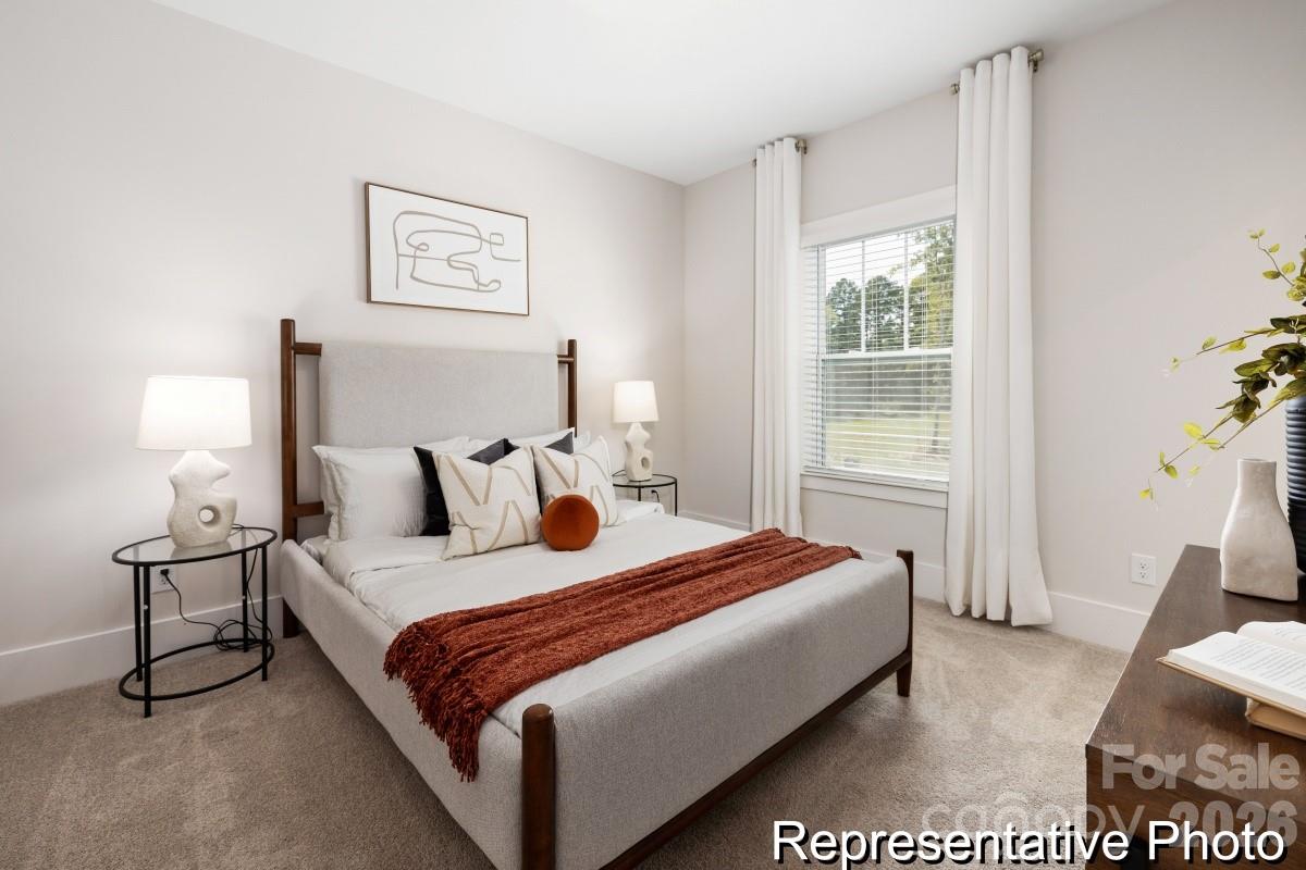 1867 Climbing Rose Court #15 — Rock Hill