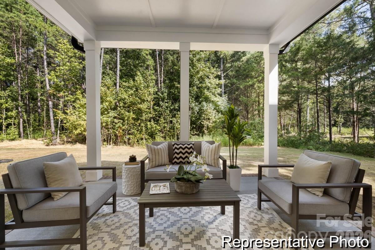 1867 Climbing Rose Court #15 — Rock Hill