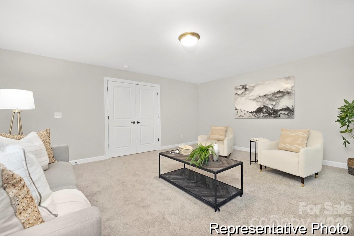 1865 Climbing Rose Court #16 — Rock Hill