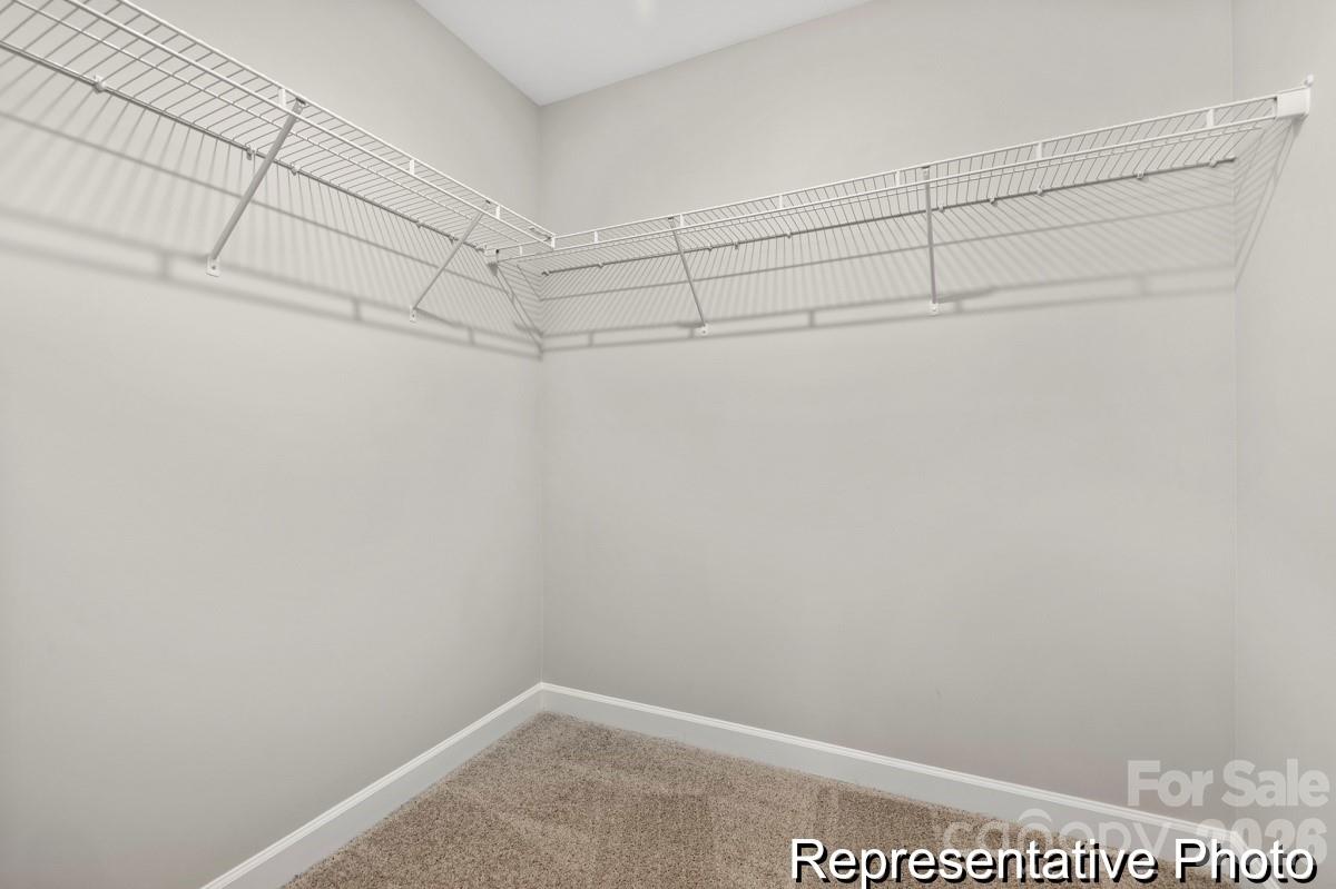 1865 Climbing Rose Court #16 — Rock Hill