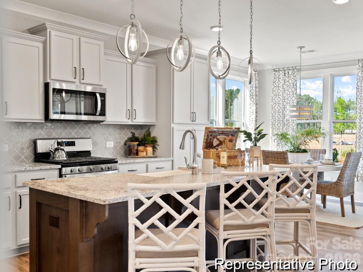 1861 Climbing Rose Court #18 — Rock Hill