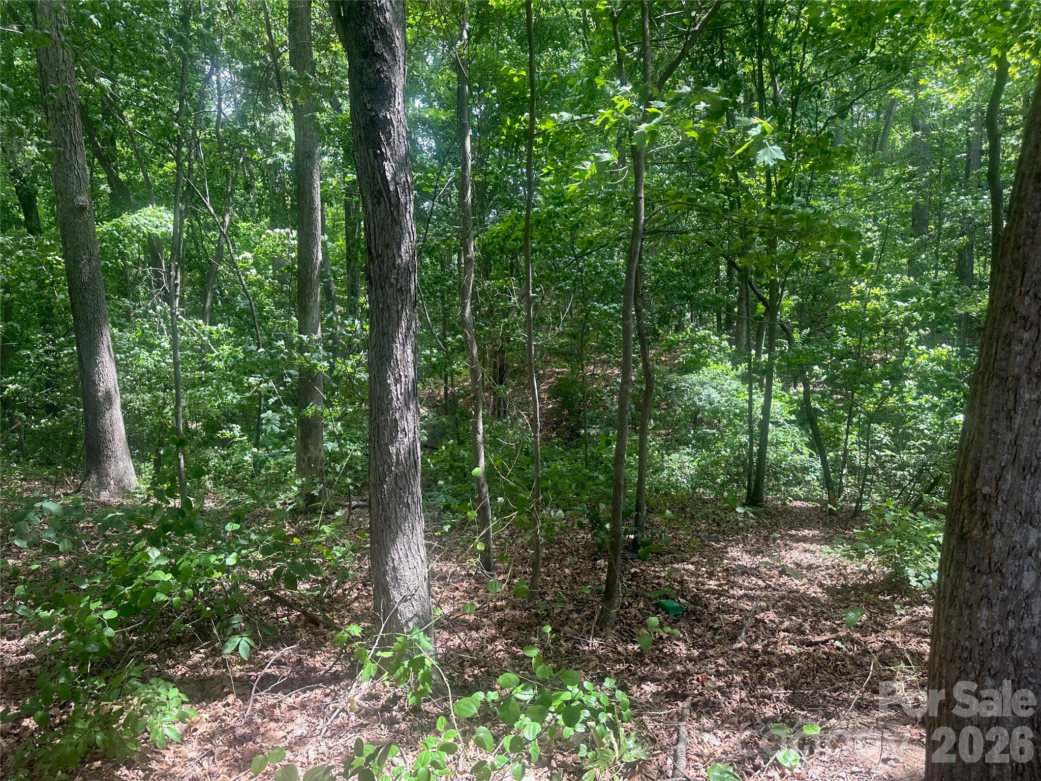 159 Richard Drive — Winston Salem