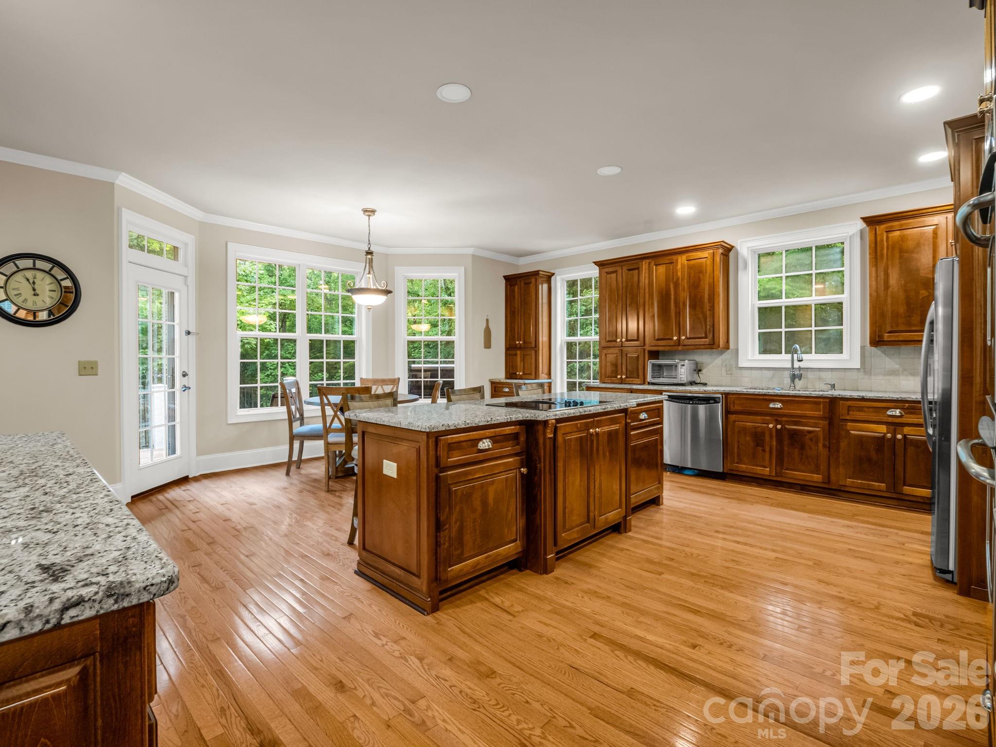 45 Brown Bear Ridge Trail — Zirconia