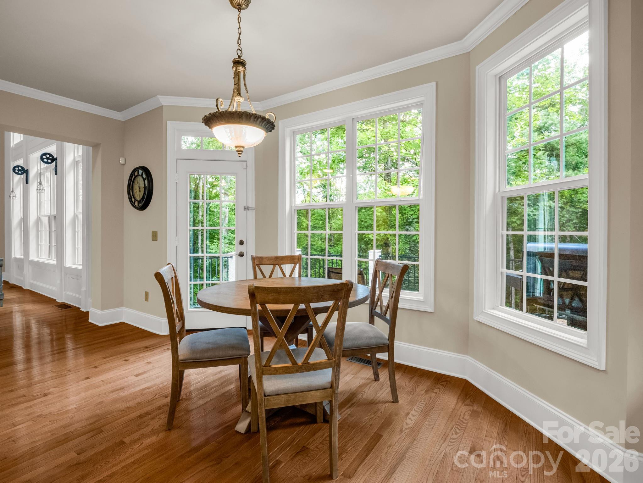 45 Brown Bear Ridge Trail — Zirconia