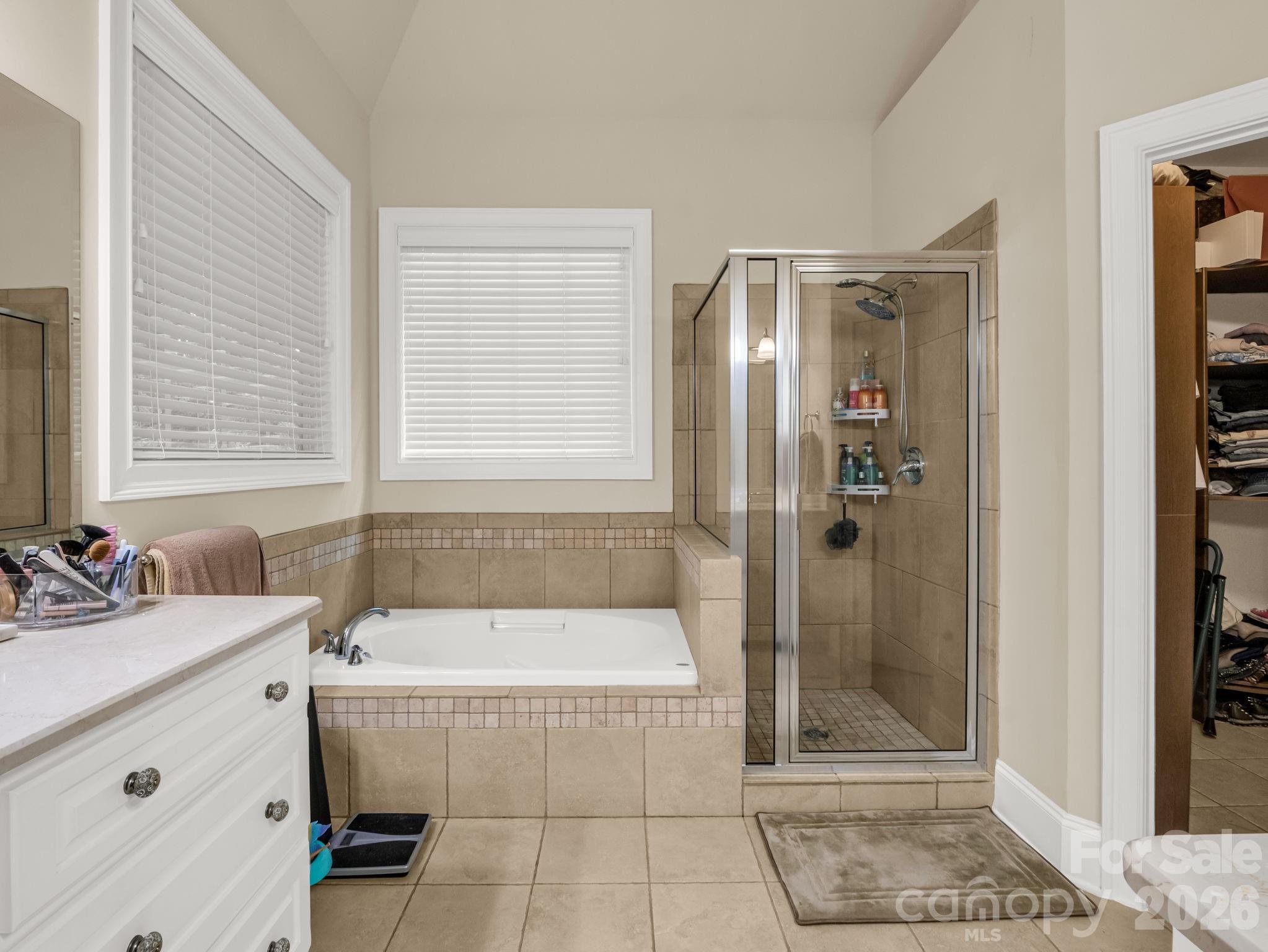 45 Brown Bear Ridge Trail — Zirconia