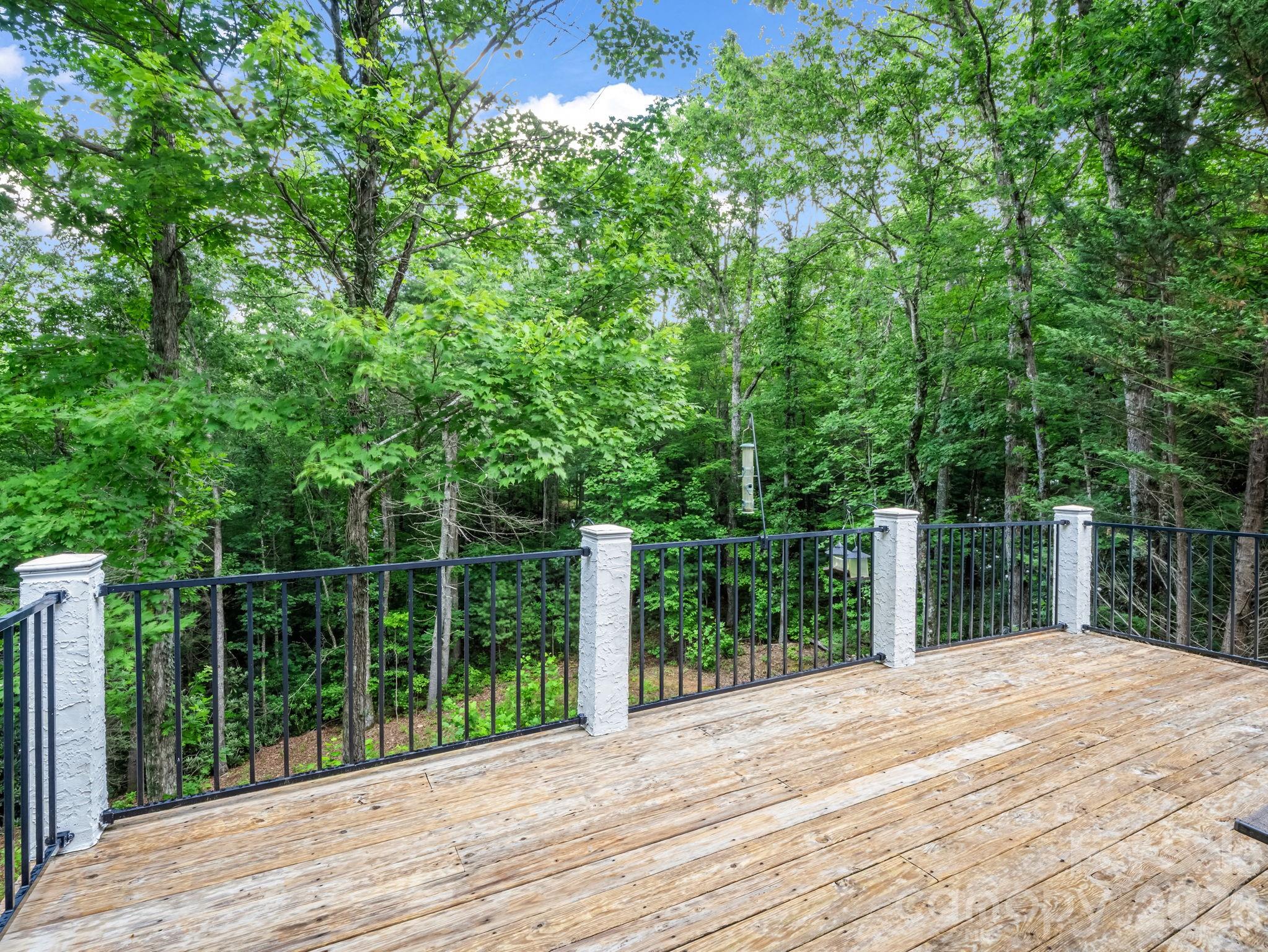 45 Brown Bear Ridge Trail — Zirconia