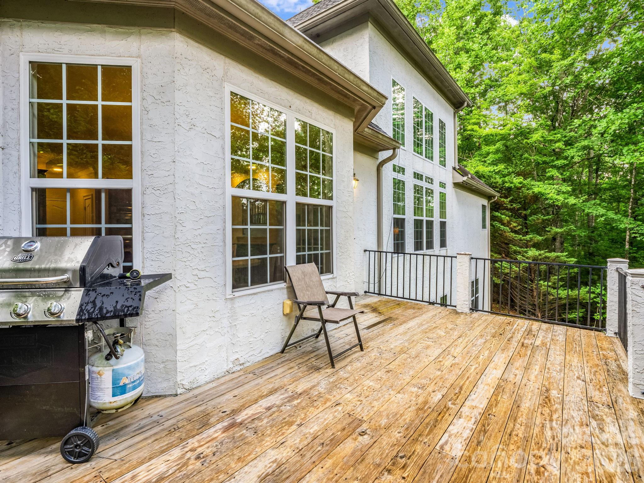 45 Brown Bear Ridge Trail — Zirconia
