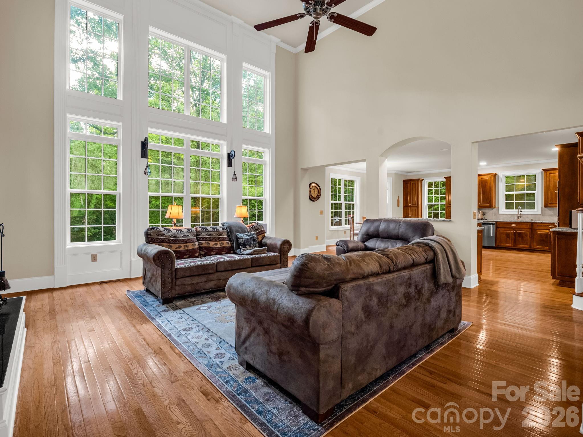 45 Brown Bear Ridge Trail — Zirconia