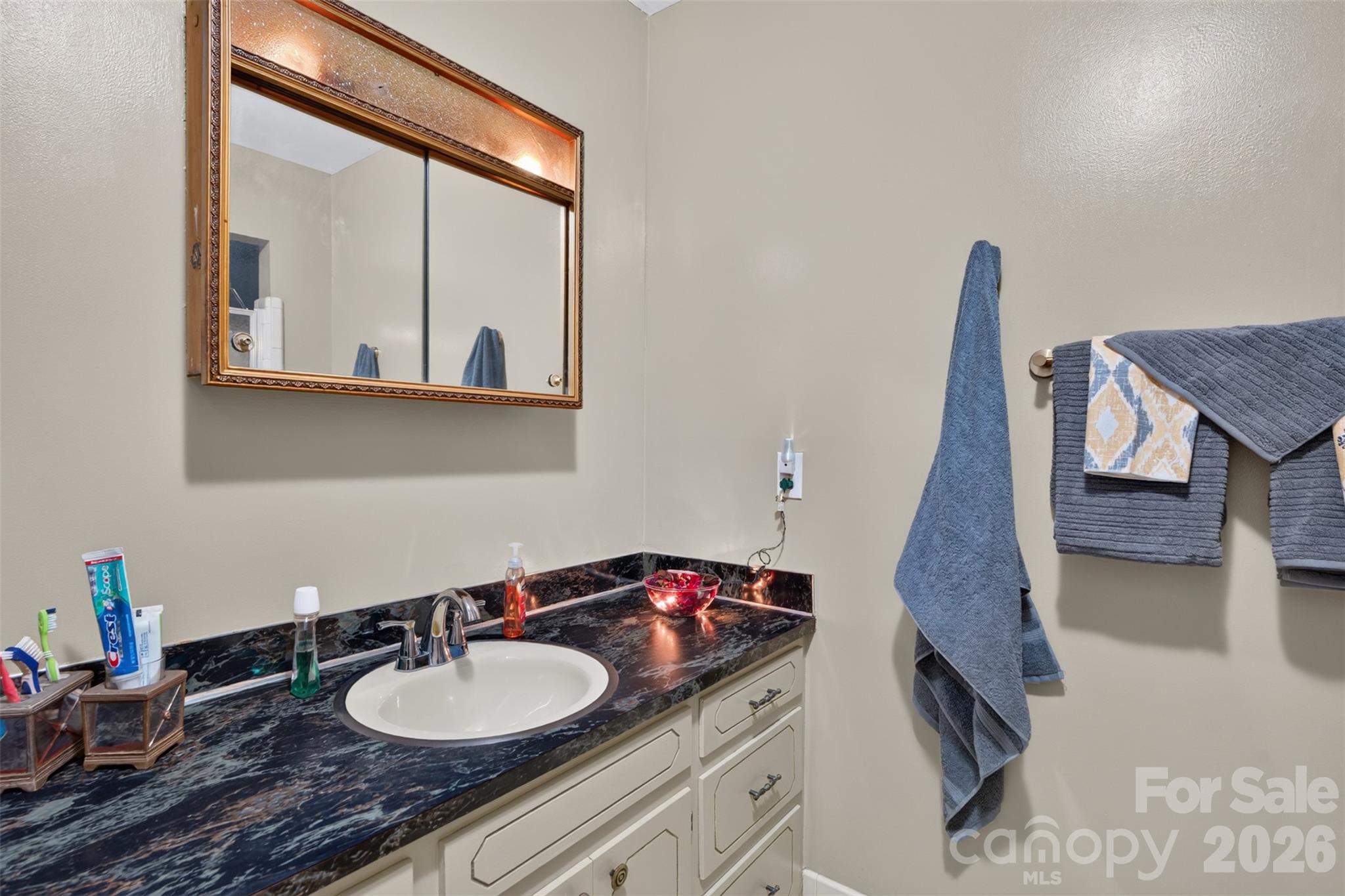 6507 Paleface Place — Charlotte