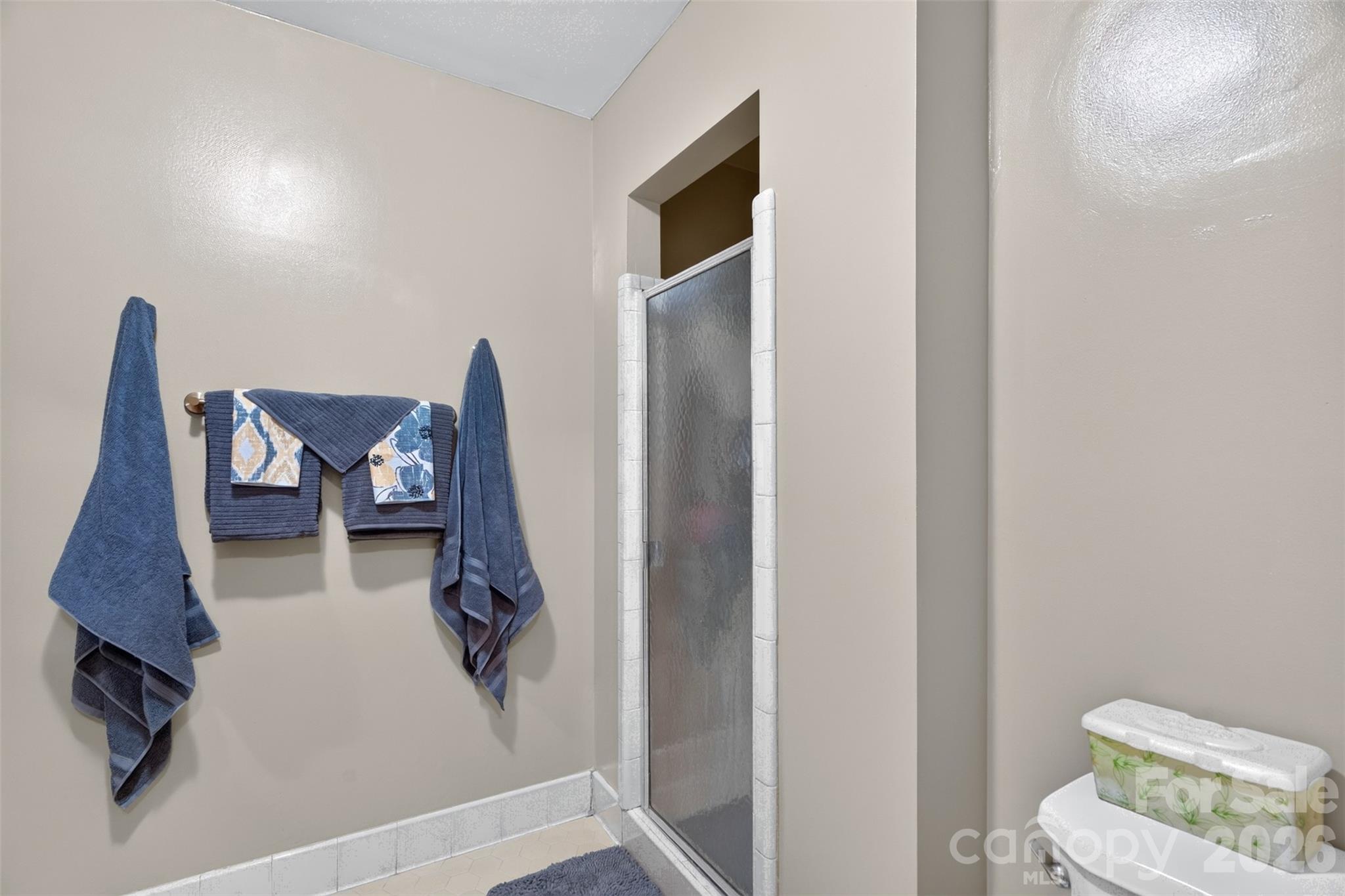 6507 Paleface Place — Charlotte