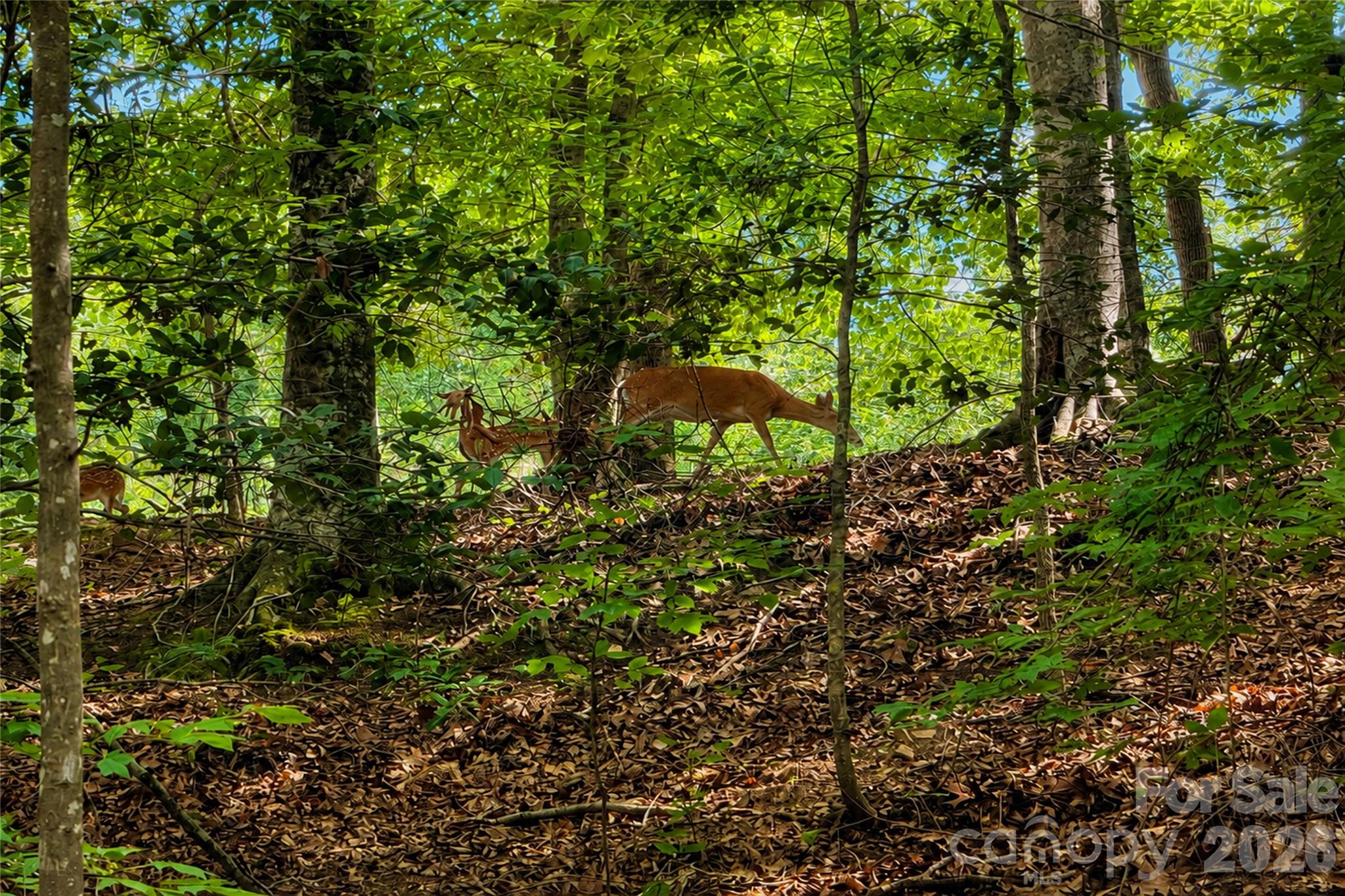 1147 Whispering Winds Drive — Catawba