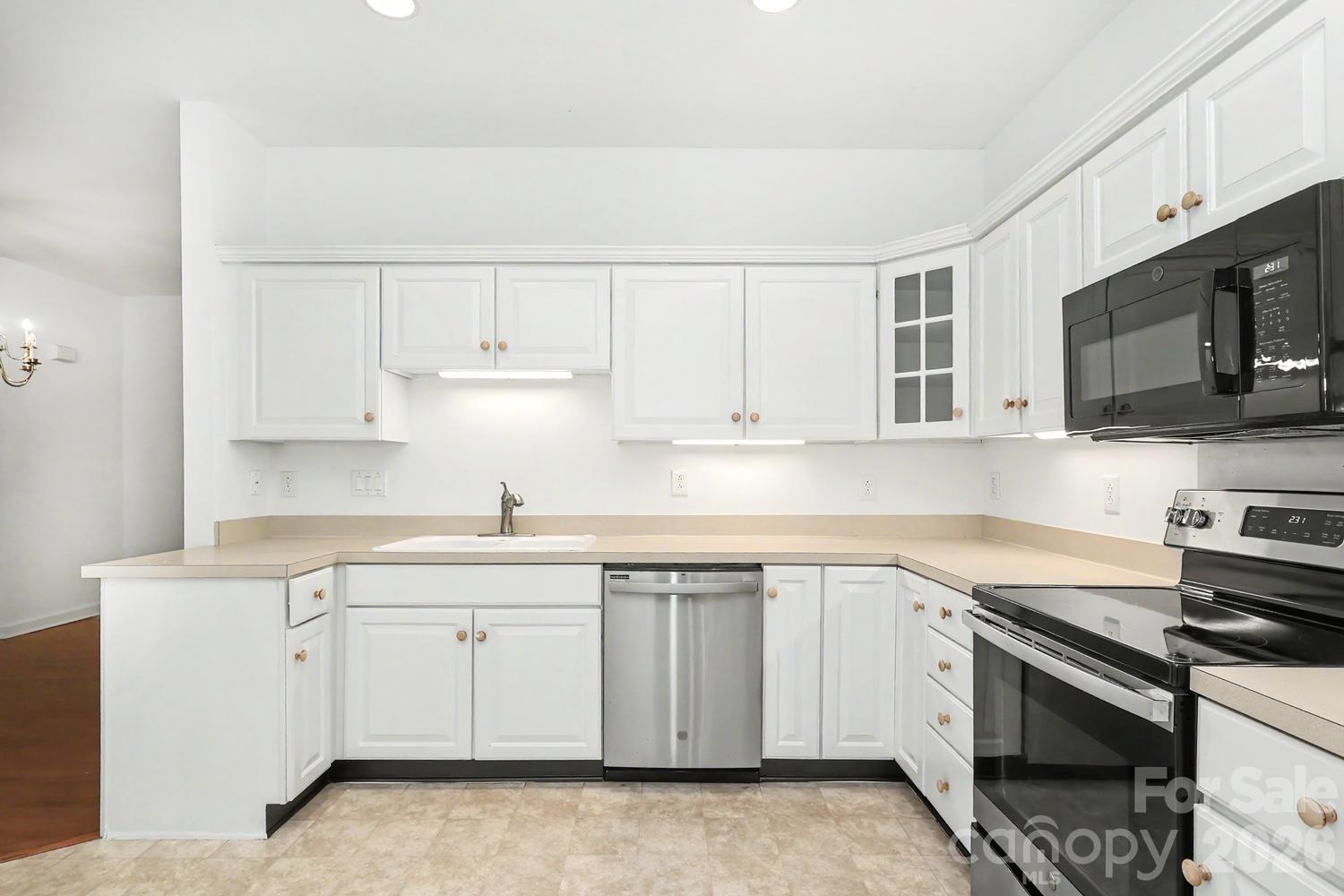 9807 Whispering Willow Court — Charlotte