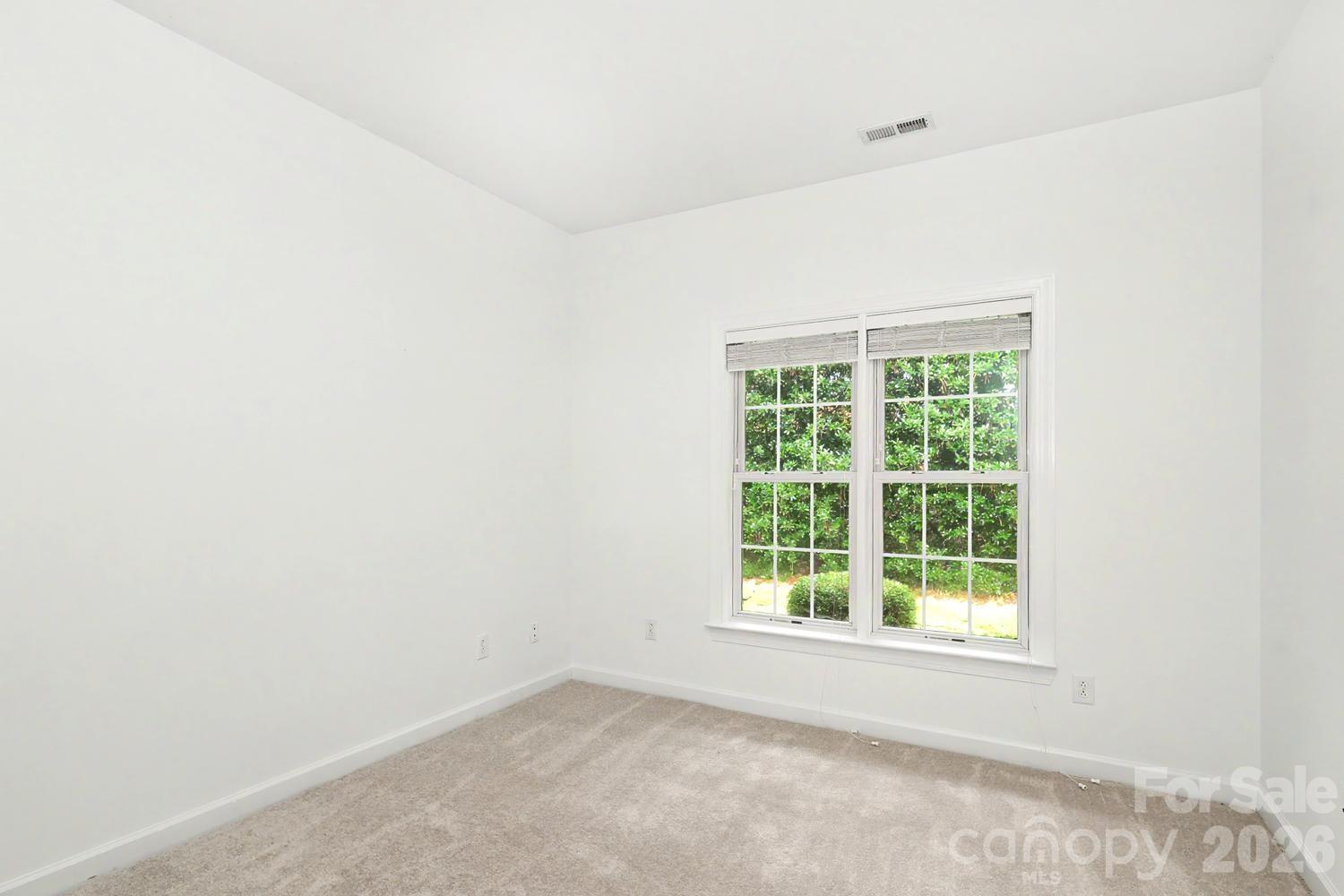 9807 Whispering Willow Court — Charlotte