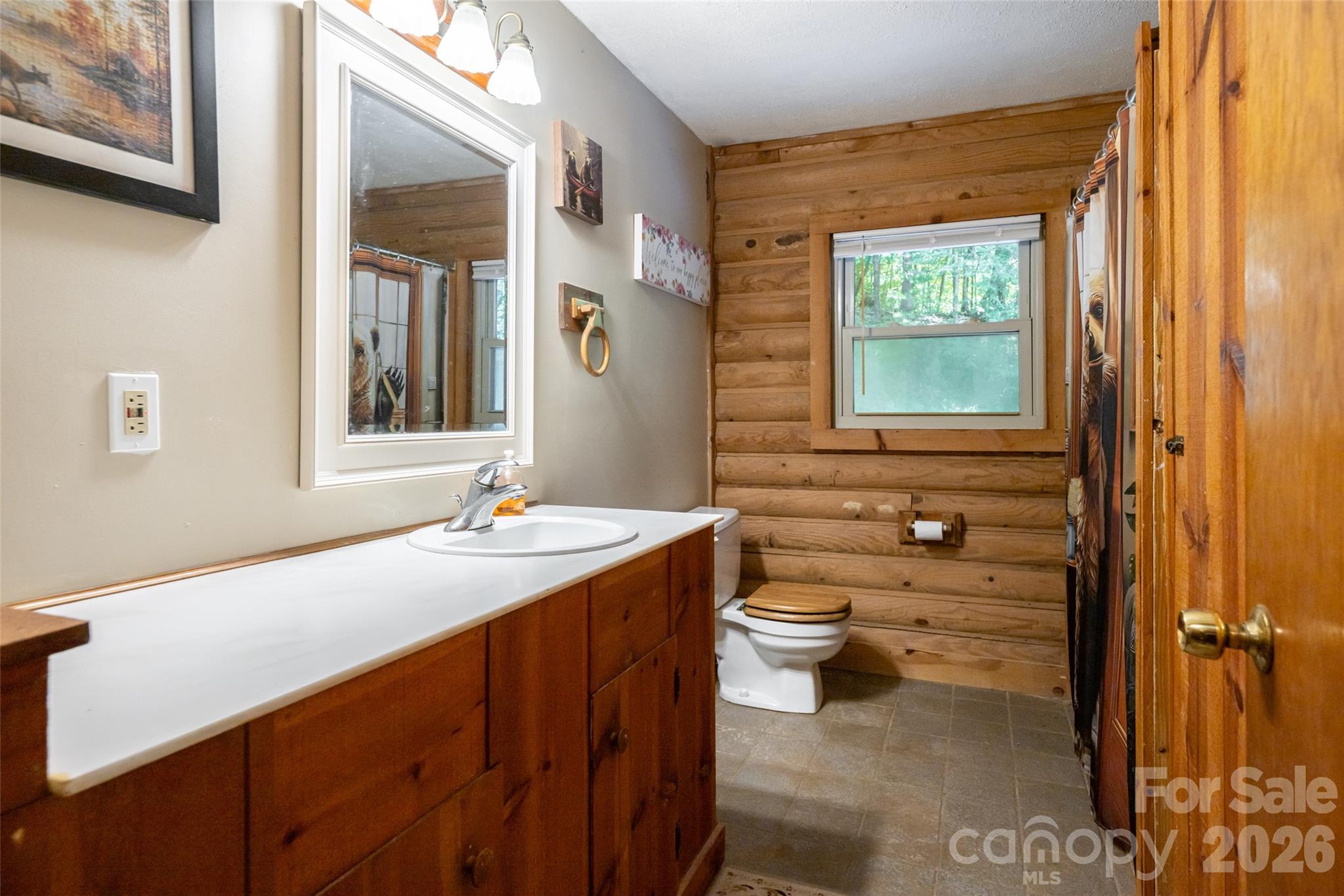 245 Mallard Road — Lake Lure