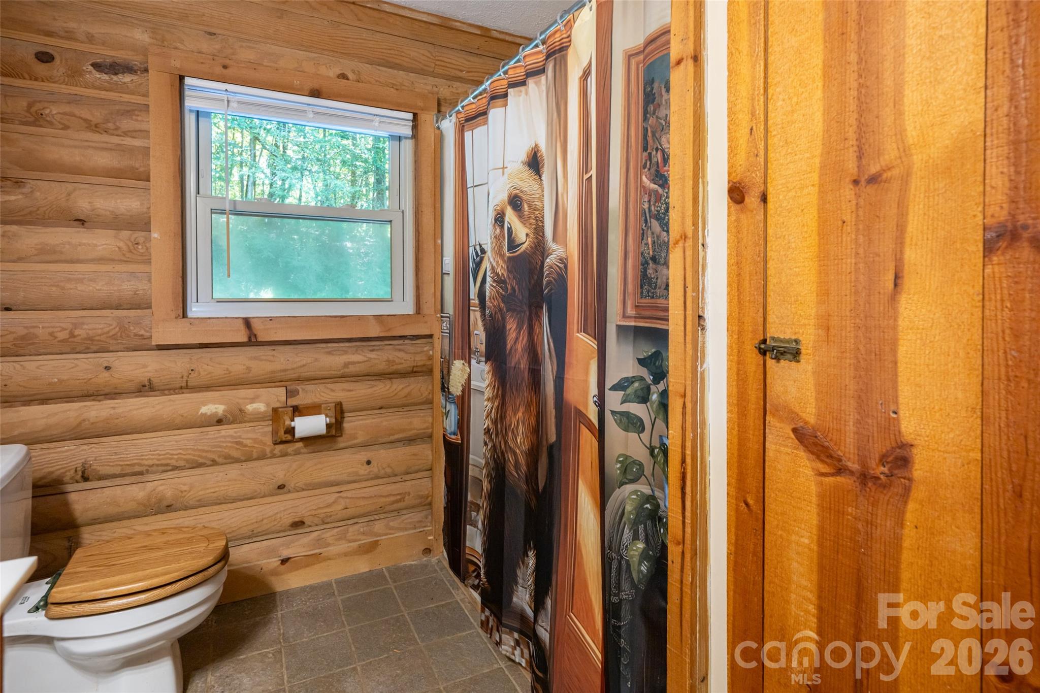 245 Mallard Road — Lake Lure
