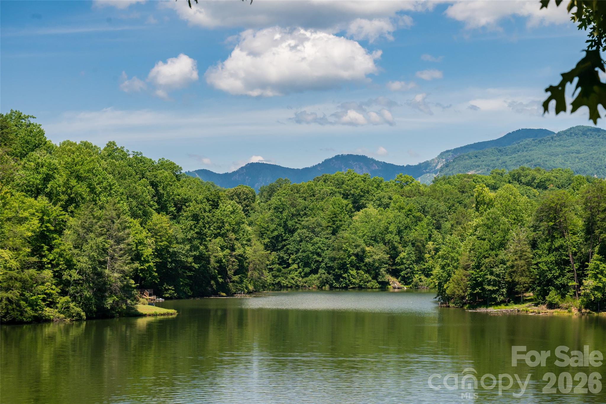 245 Mallard Road — Lake Lure
