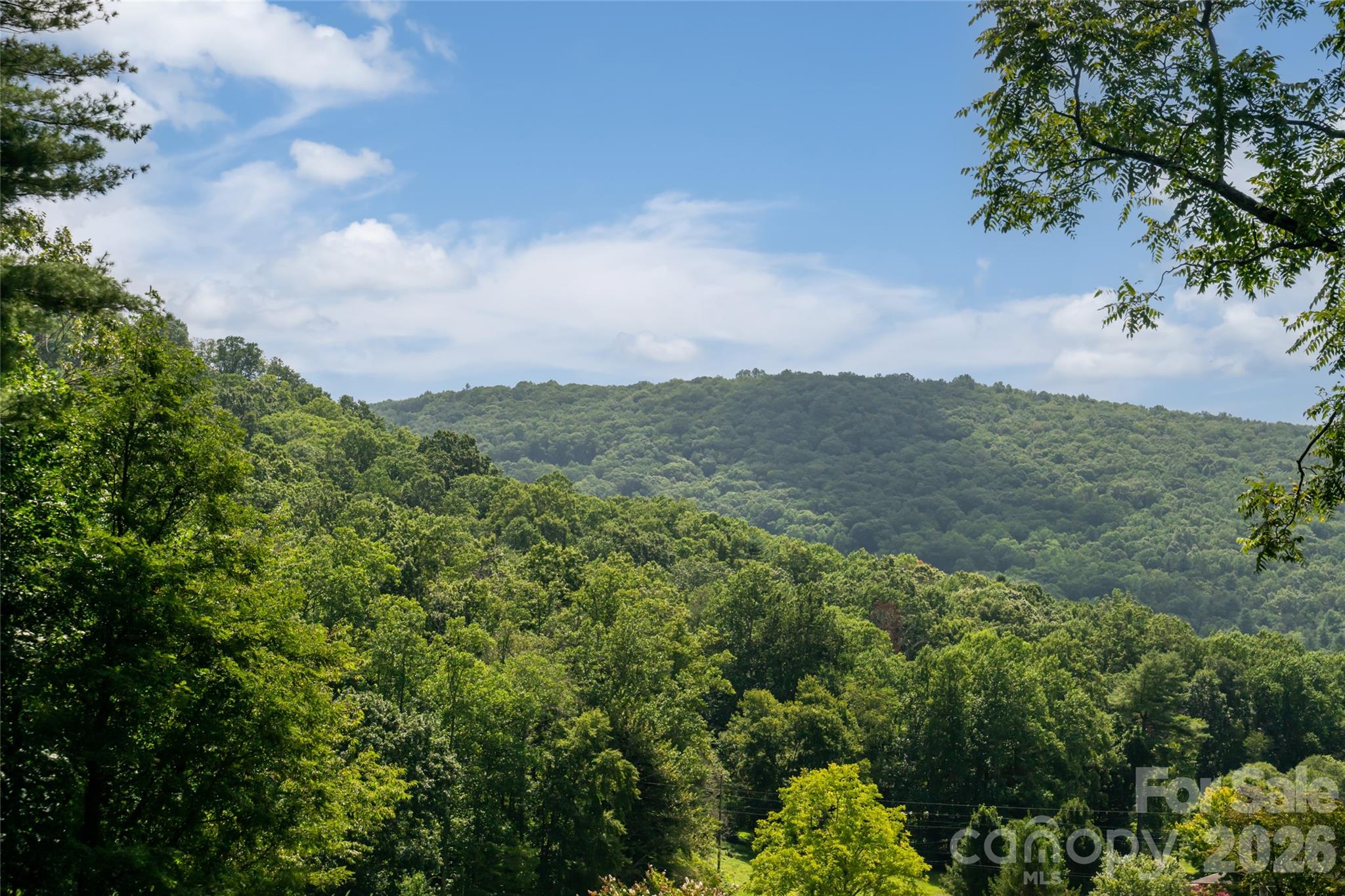 360 Pinners Cove Road — Asheville
