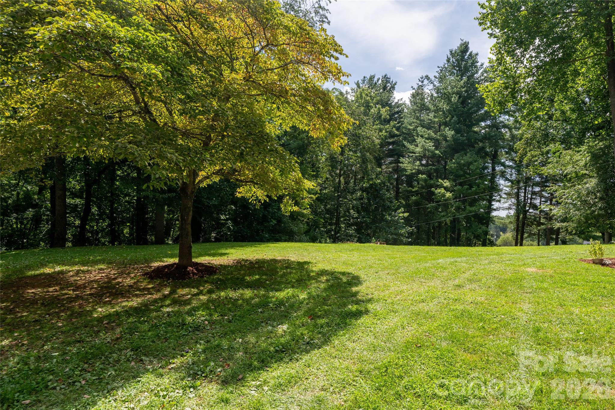 360 Pinners Cove Road — Asheville