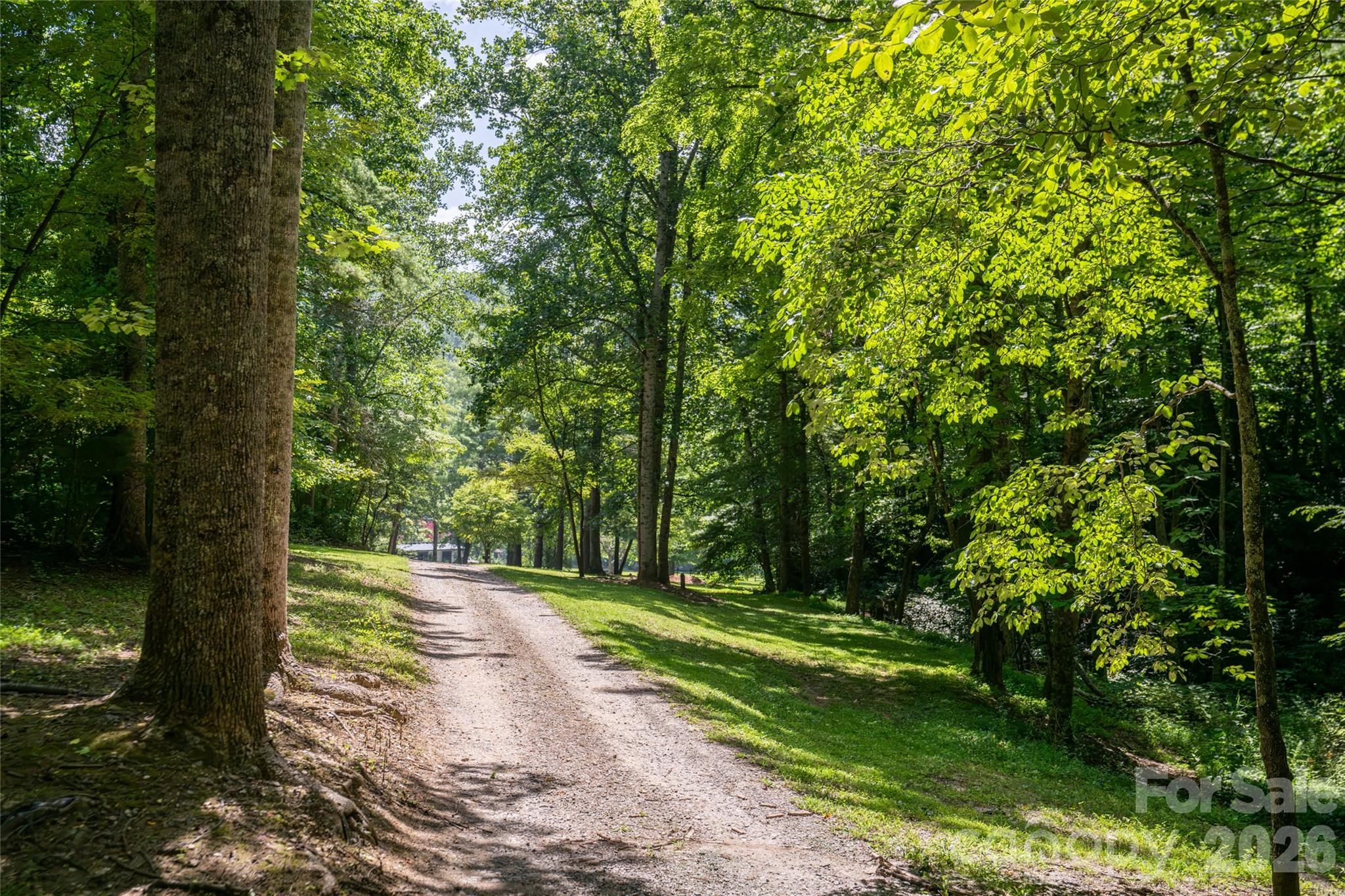 360 Pinners Cove Road — Asheville