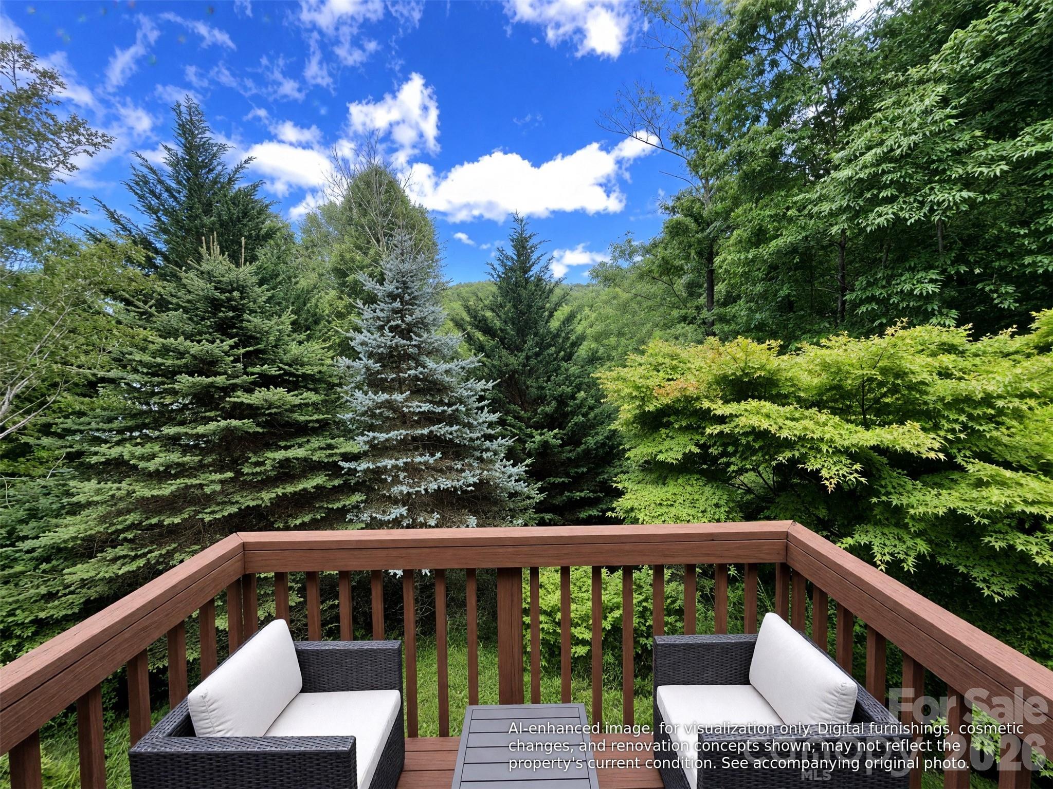 105 Chestnut Hill Road — Black Mountain