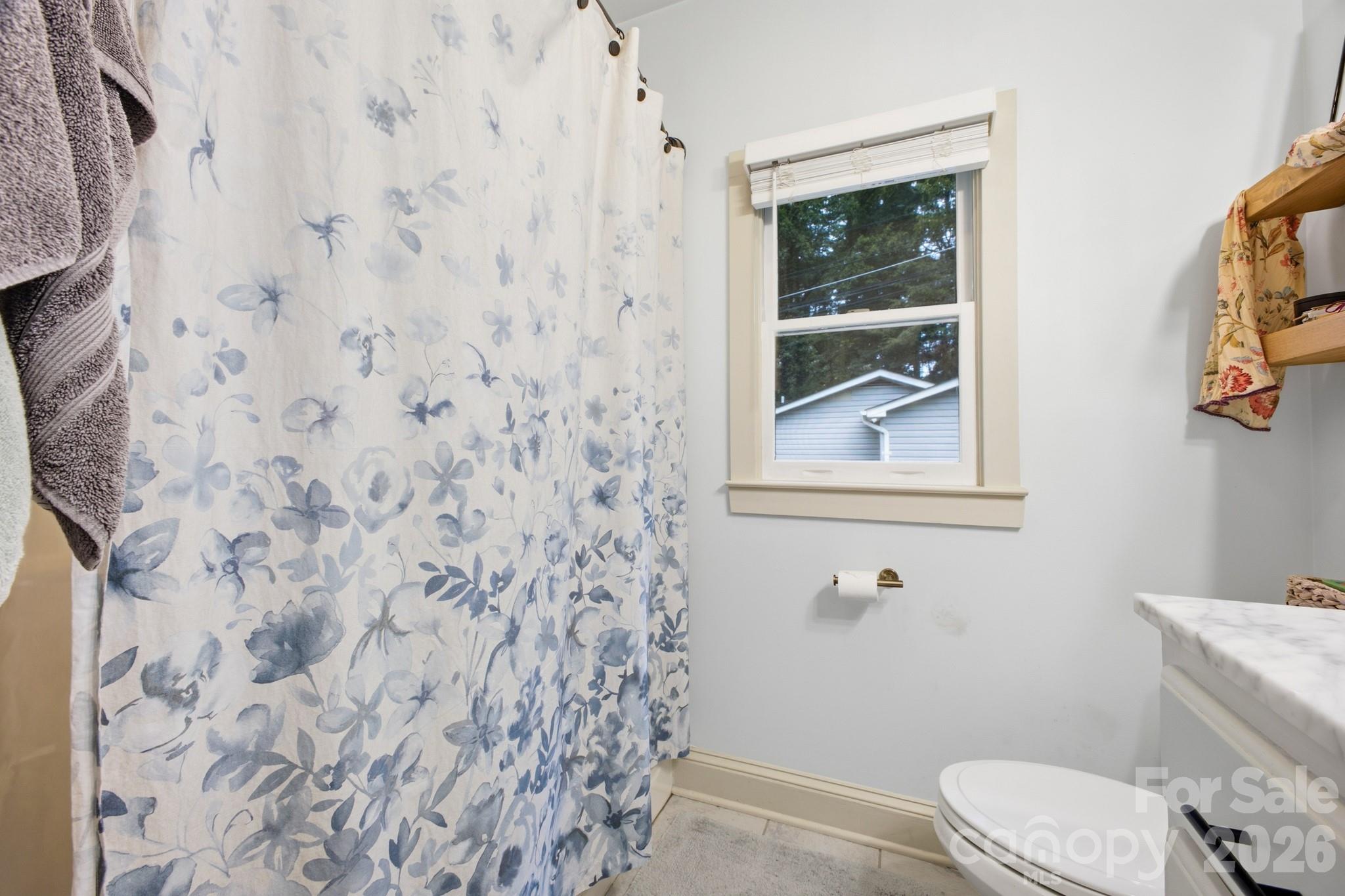 1207 Willow Road — Hendersonville