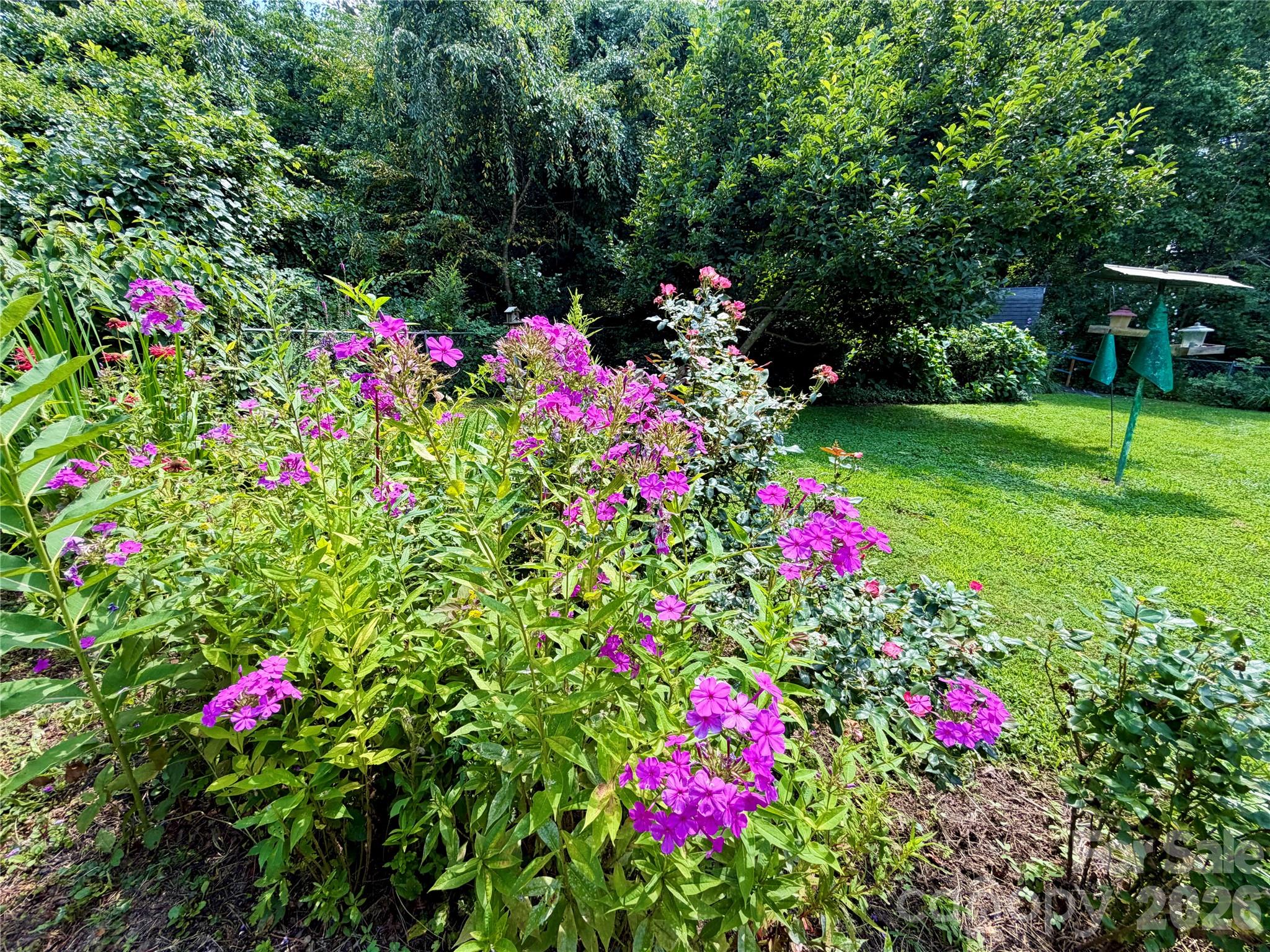 5 Dewberry Drive — Hendersonville