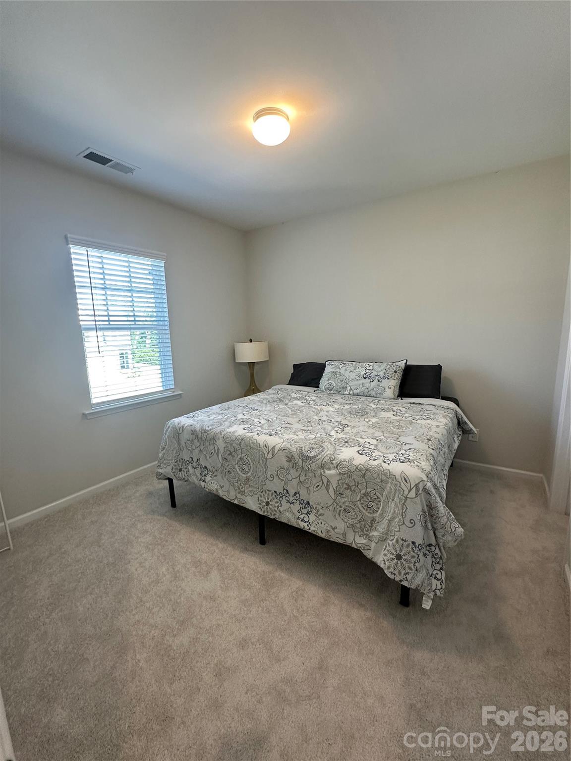 534 MADISON FALLS Court — Fort Mill