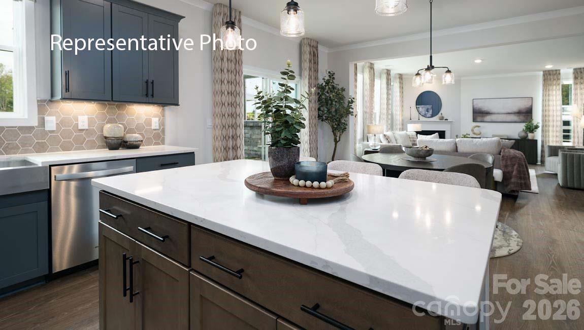 1024 Tundra Swan Drive — Indian Trail