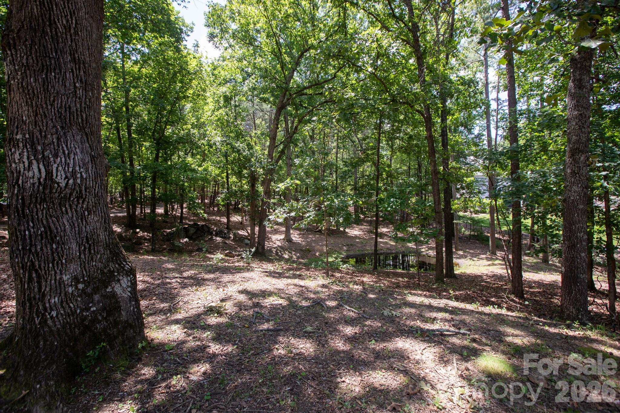 15224 Thomas Road — Charlotte
