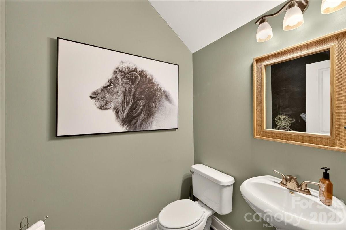 4632 Dabney Vigor Drive — Charlotte