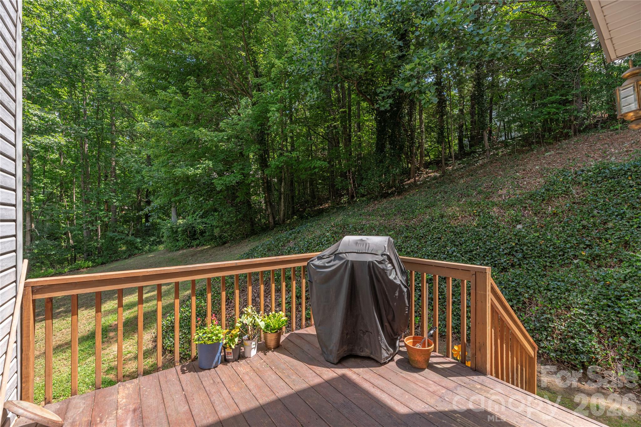 5 Summer Savory Court — Flat Rock