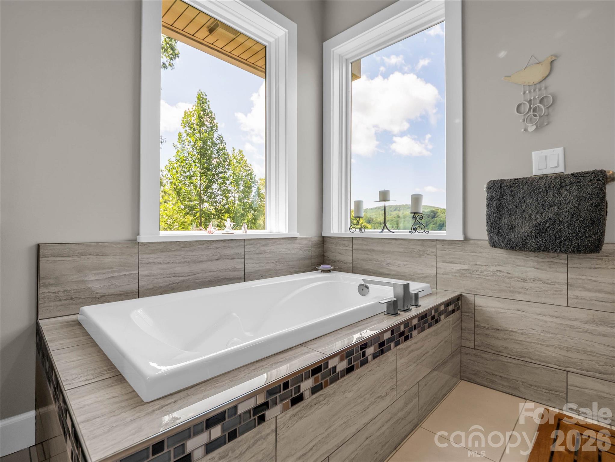 930 Big Raven Lane — Saluda