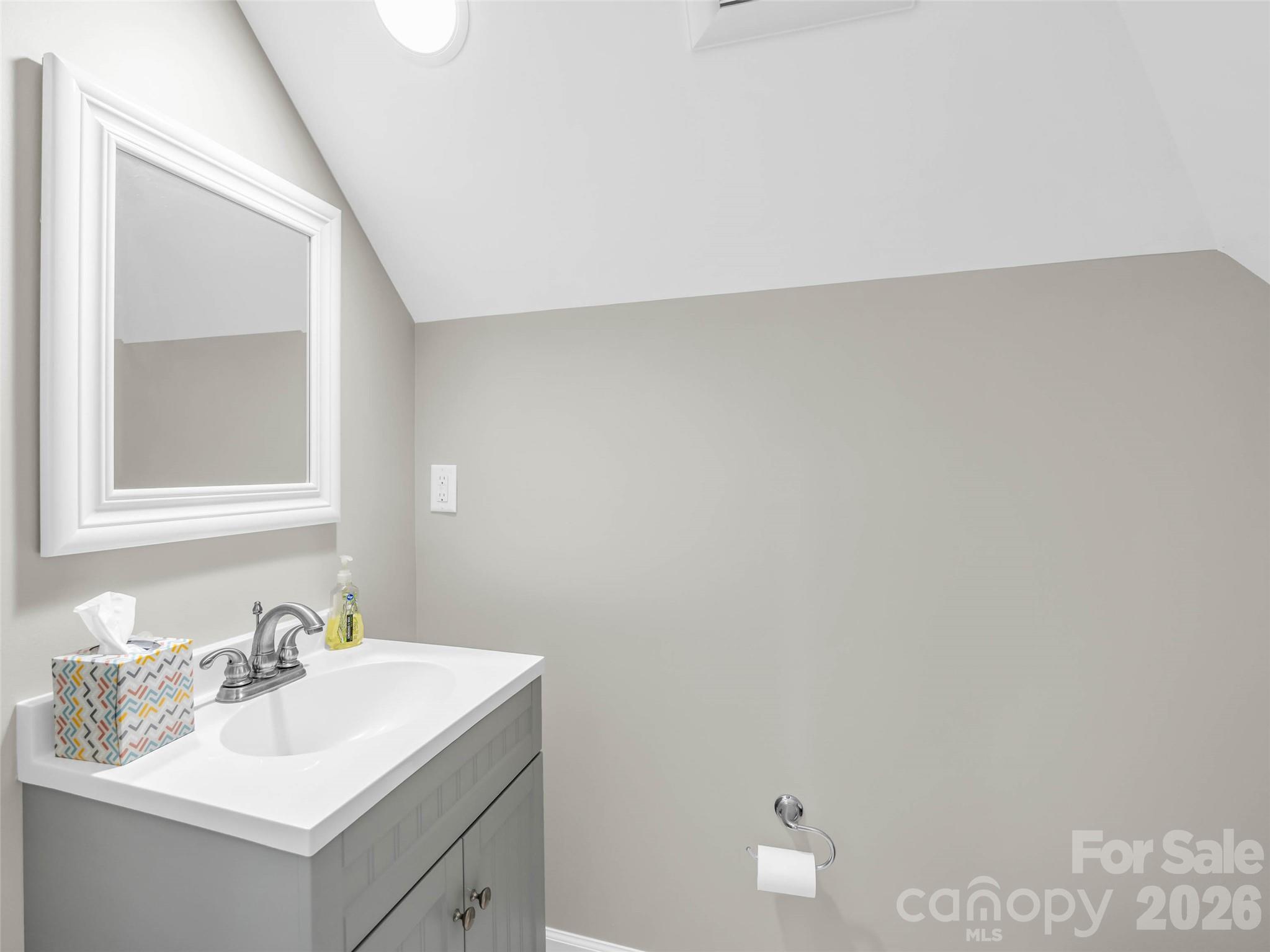 930 Big Raven Lane — Saluda