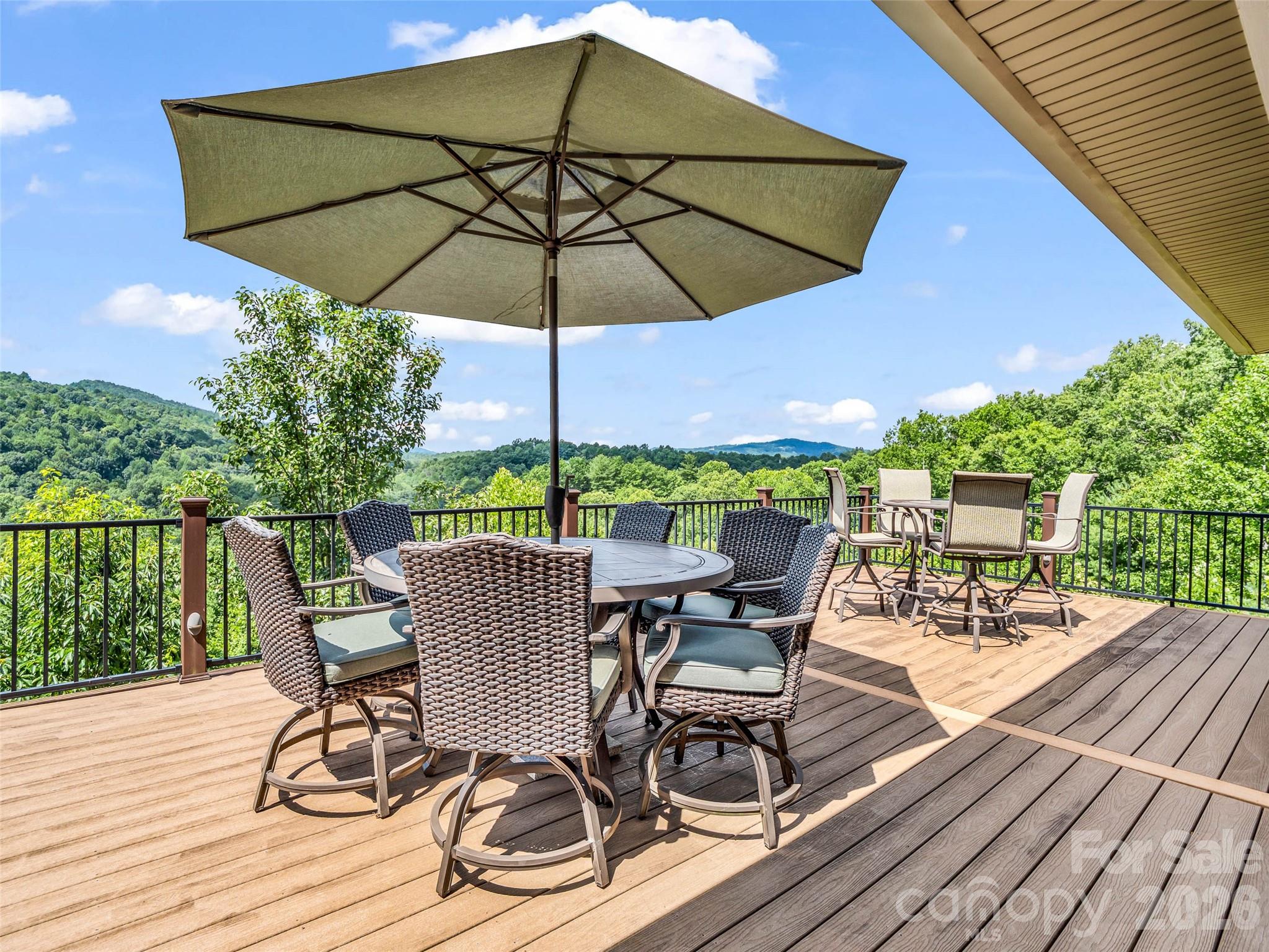 930 Big Raven Lane — Saluda