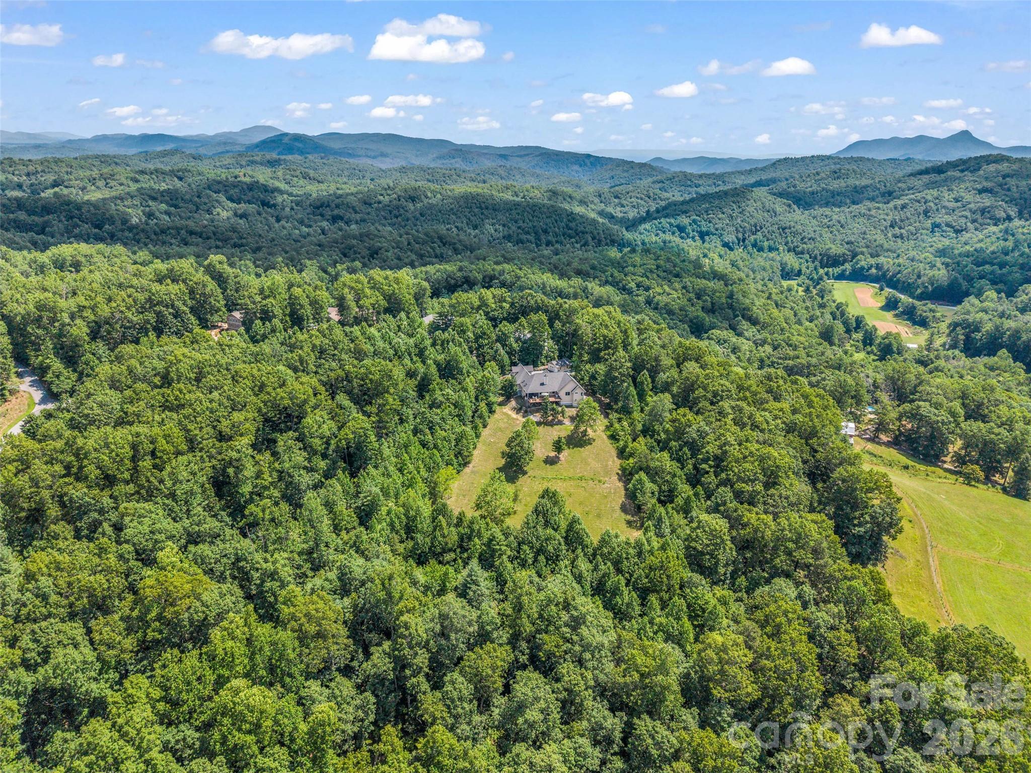 930 Big Raven Lane — Saluda