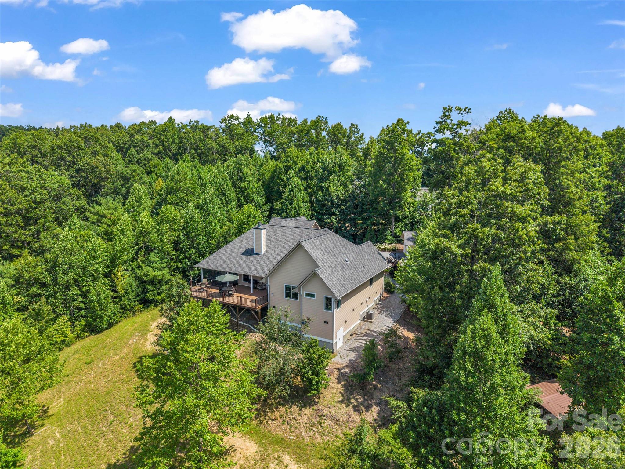 930 Big Raven Lane — Saluda