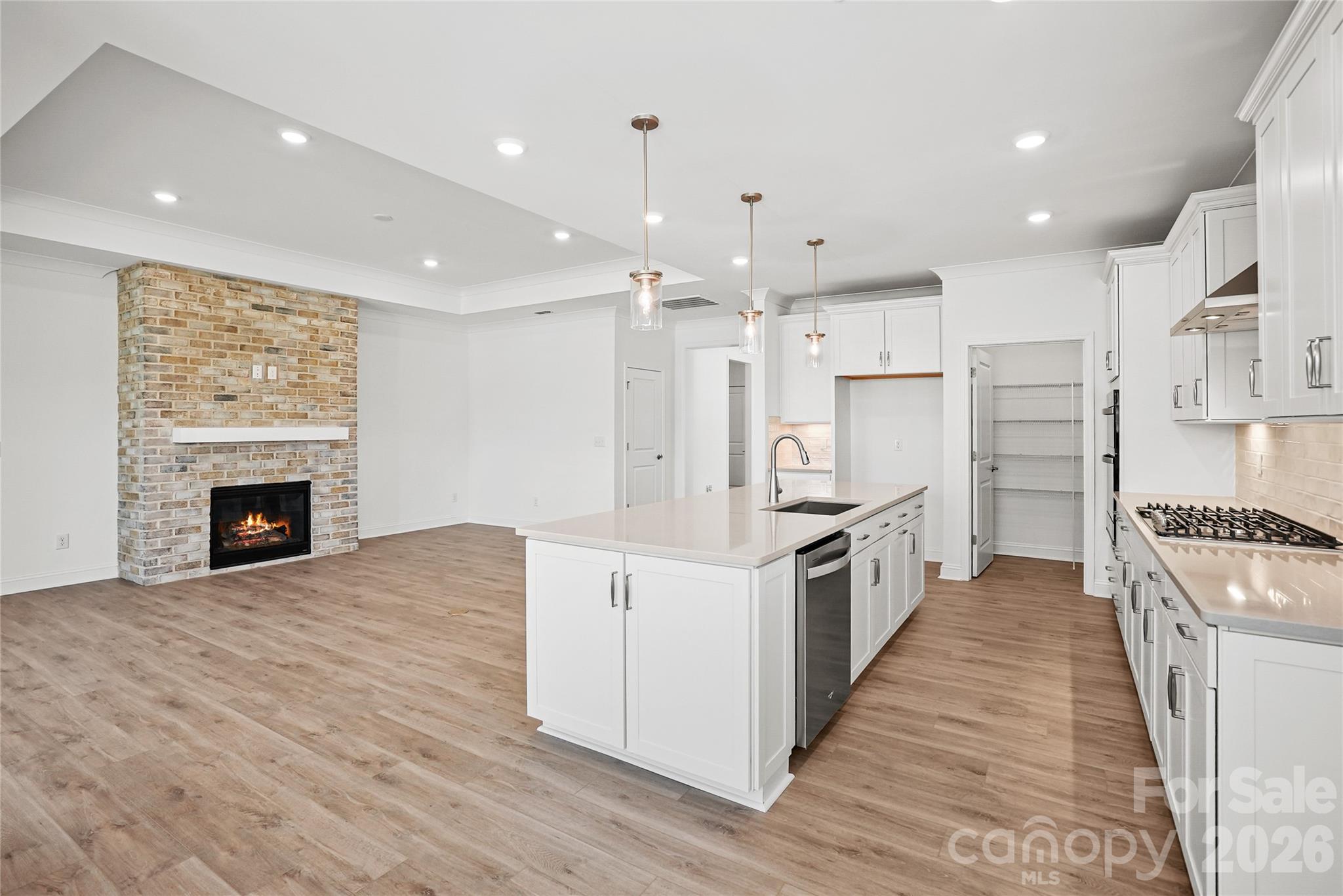 2722 Peak Court — Belmont