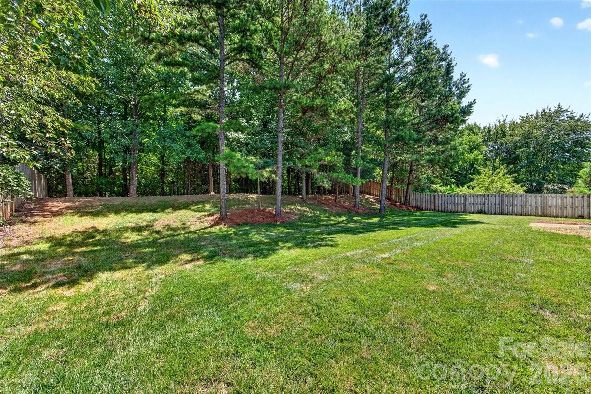 8732 Brookstead Meadow Court — Charlotte